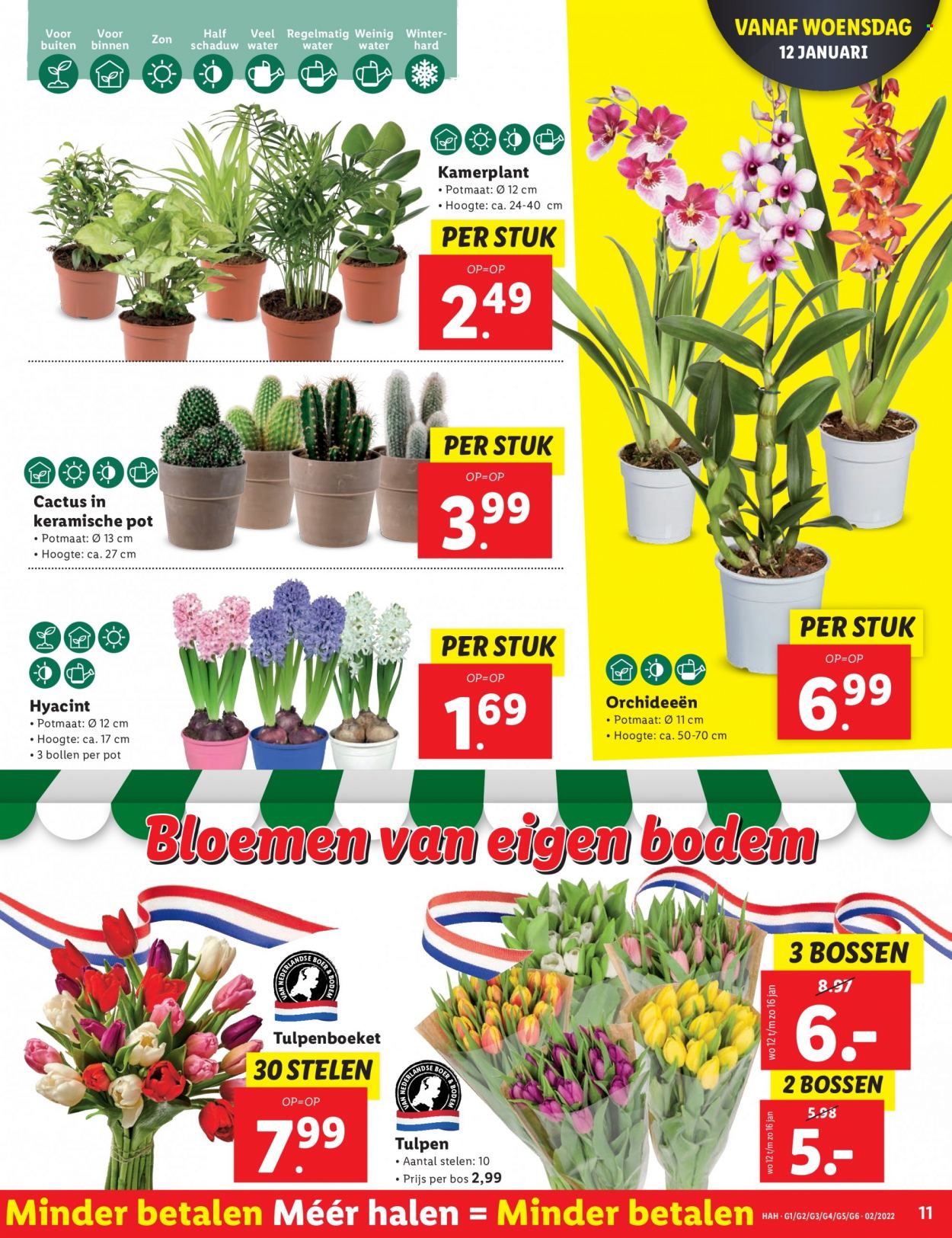 Lidl-aanbieding - 10-1-2022 - 16-1-2022. Pagina 11