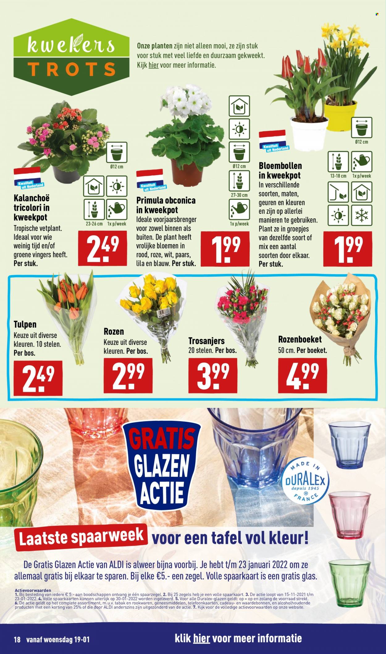 Aldi-aanbieding - 17-1-2022 - 23-1-2022. Pagina 18