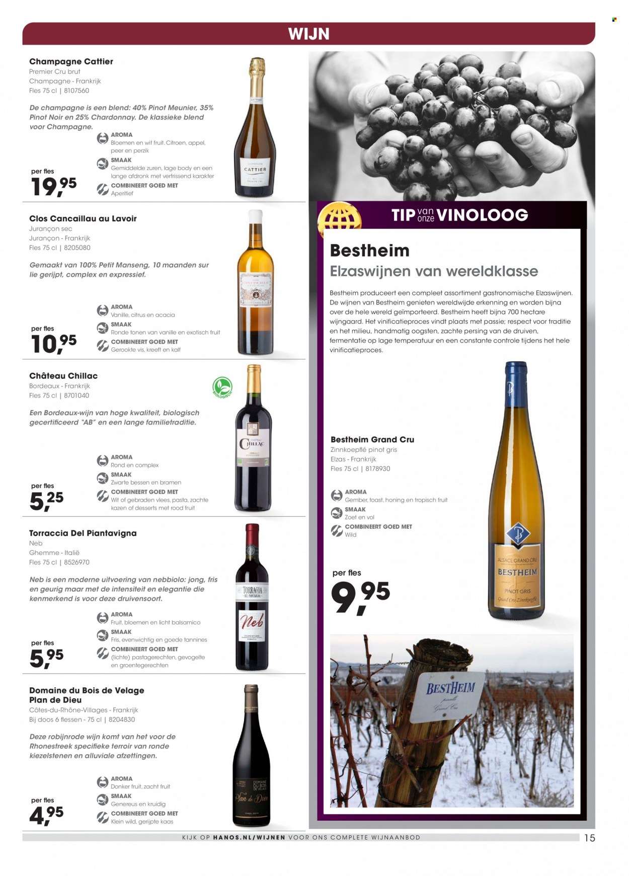 thumbnail - Hanos-aanbieding - 10-1-2022 - 23-1-2022 -  producten in de aanbieding - gember, bessen, bramen, citroen, druiven, peer, perzik, kreeft, kaas, pasta, champagne, Chardonnay, Pinot Noir, Pinot Griggio, wijn. Pagina 15.