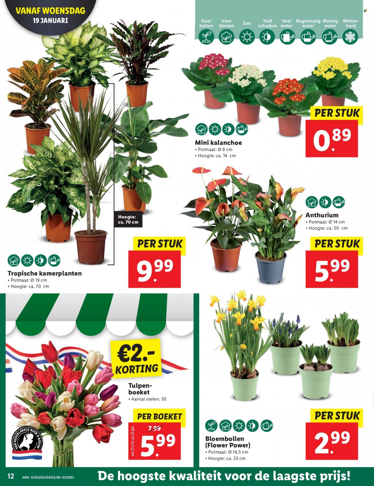 Lidl-aanbieding - 17-1-2022 - 23-1-2022. Pagina 12