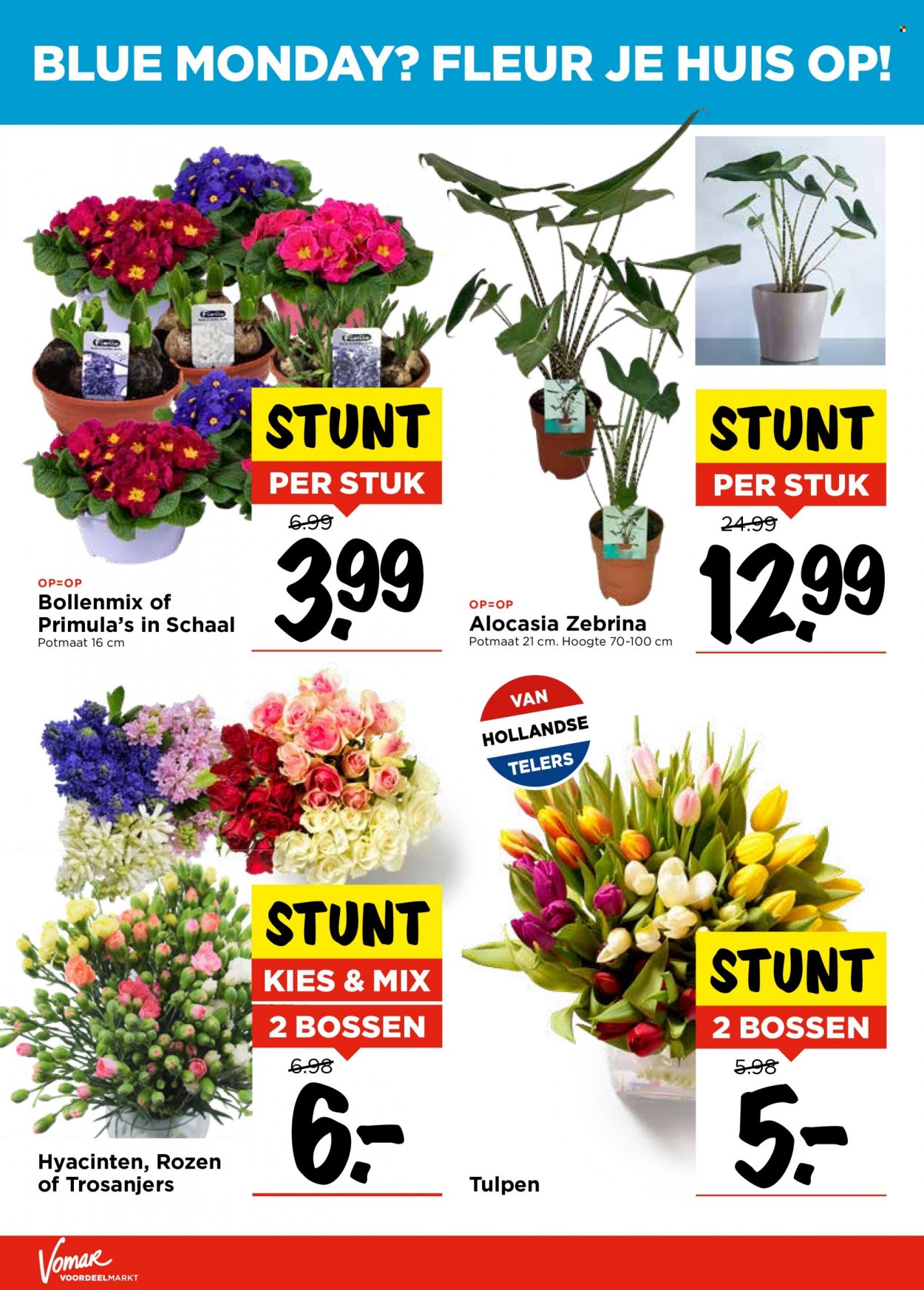 Vomar-aanbieding - 16-1-2022 - 22-1-2022. Pagina 29