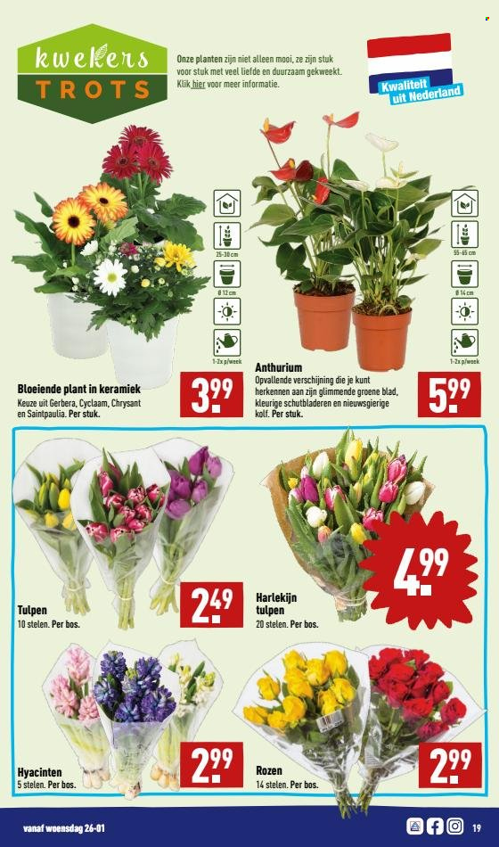 Aldi-aanbieding - 24-1-2022 - 30-1-2022. Pagina 19