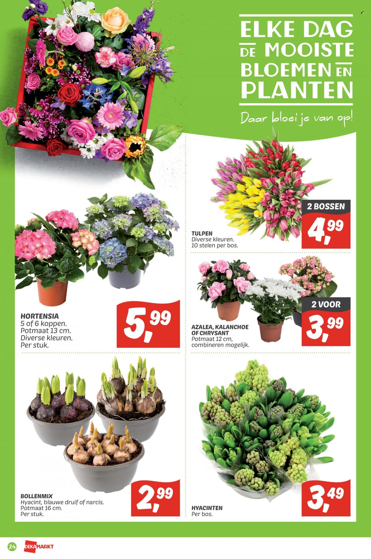 DekaMarkt-aanbieding - 30-1-2022 - 5-2-2022. Pagina 24