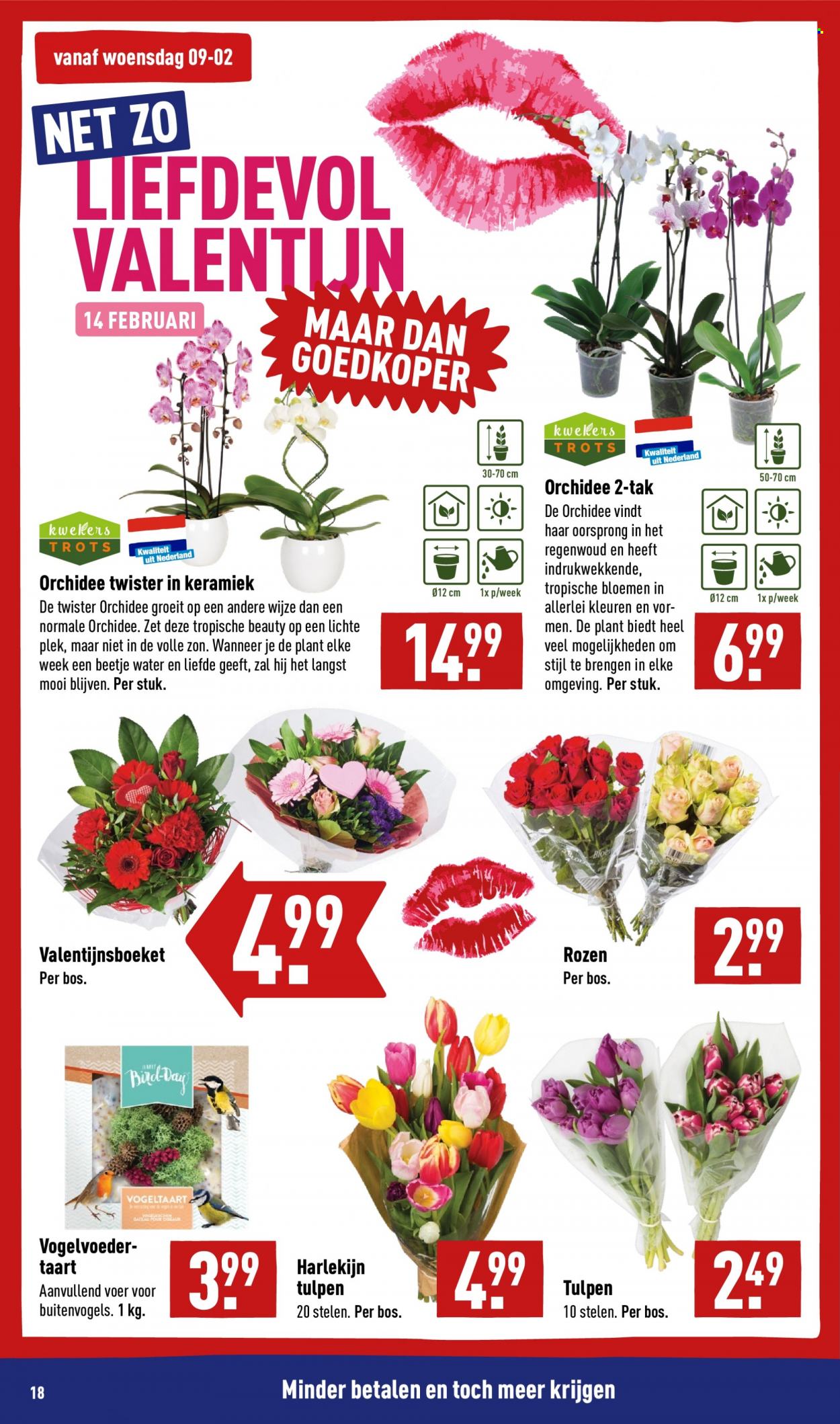 Aldi-aanbieding - 7-2-2022 - 13-2-2022. Pagina 18