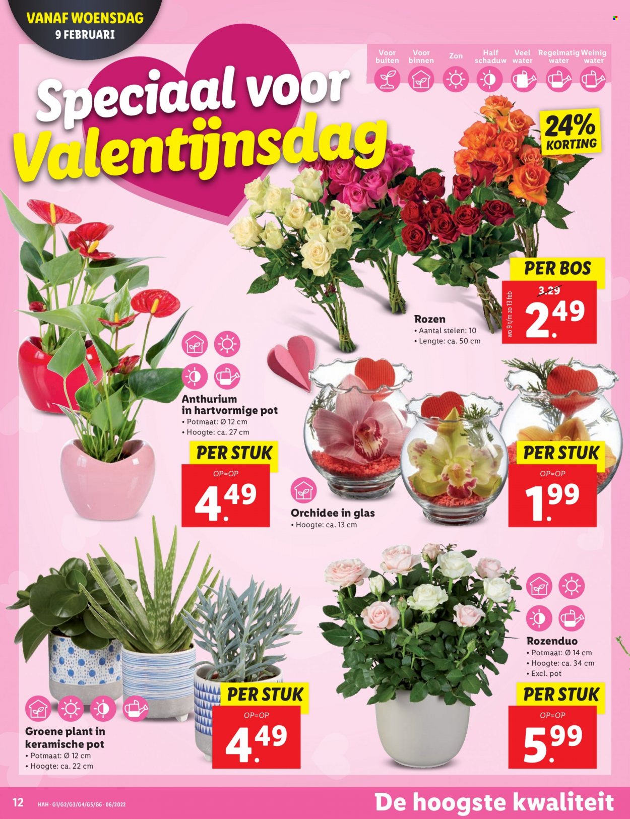 Lidl-aanbieding - 7-2-2022 - 13-2-2022. Pagina 12