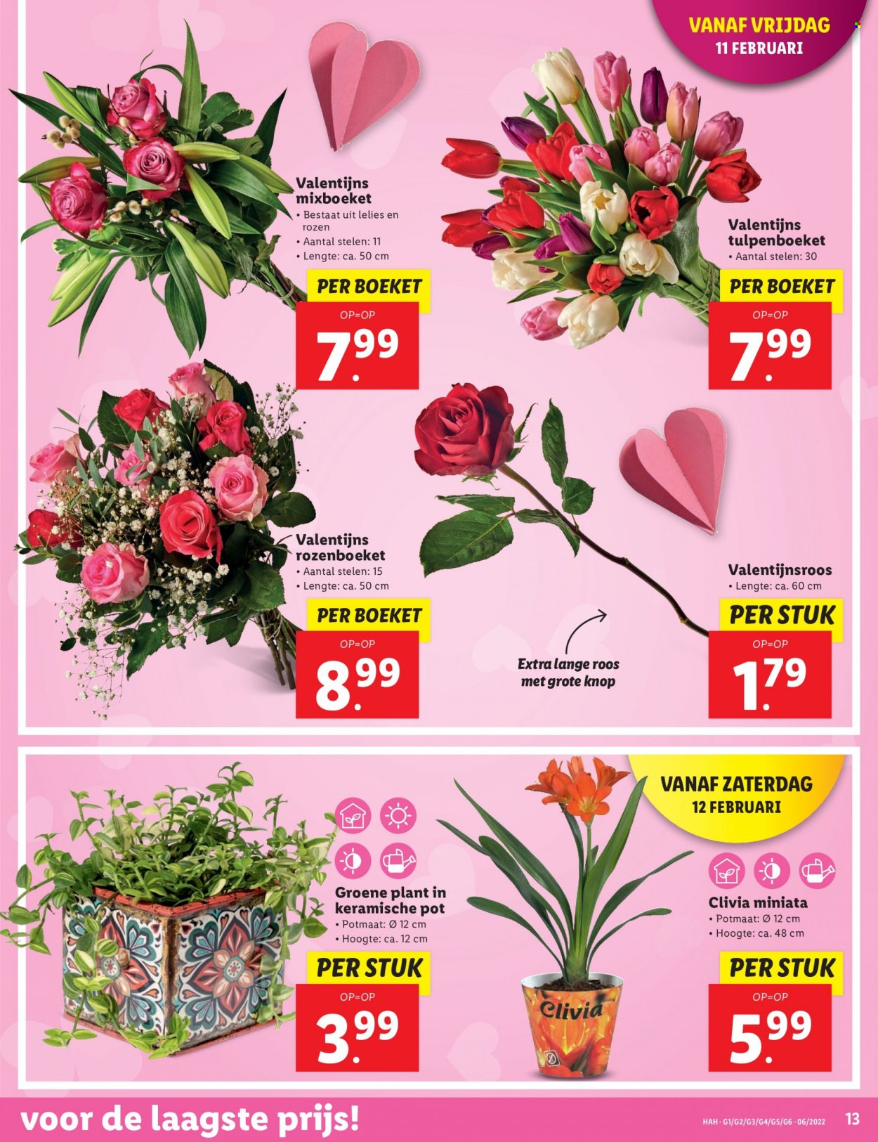 Lidl-aanbieding - 7-2-2022 - 13-2-2022. Pagina 13