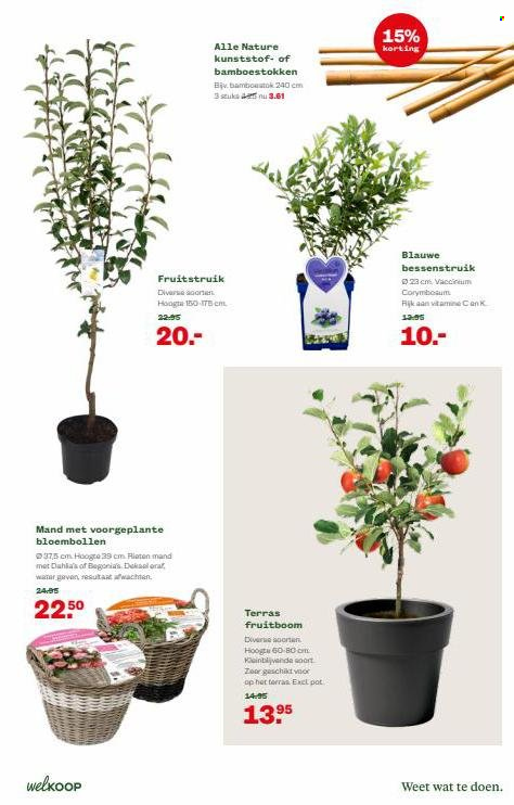 Welkoop-aanbieding - 14-2-2022 - 27-2-2022. Pagina 13