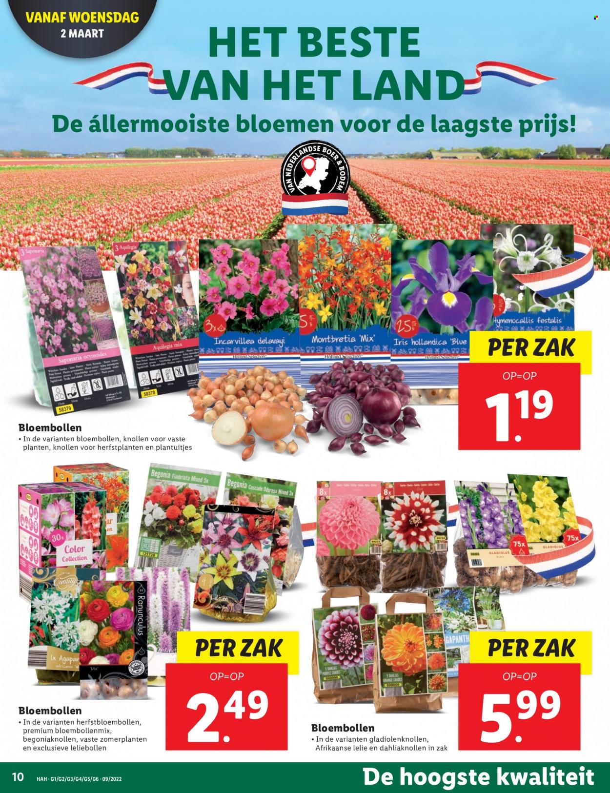 Lidl-aanbieding - 28-2-2022 - 6-3-2022. Pagina 10