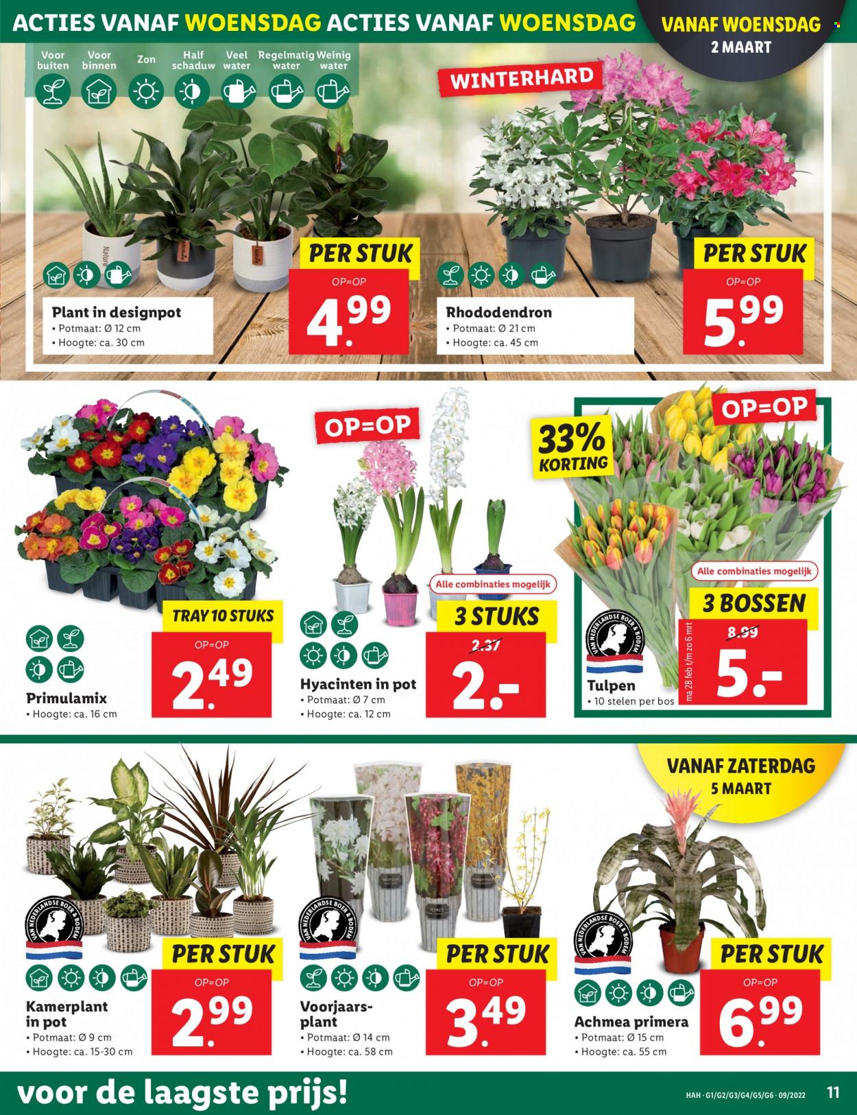 Lidl-aanbieding - 28-2-2022 - 6-3-2022. Pagina 11