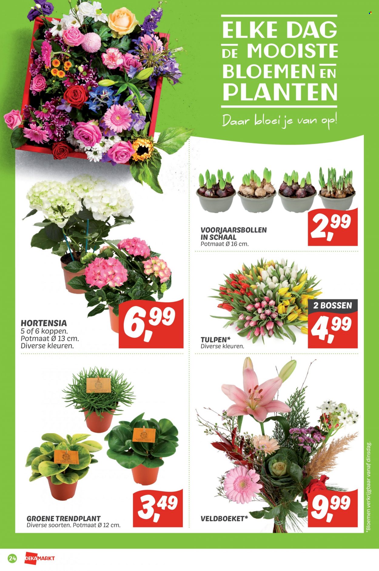 DekaMarkt-aanbieding - 27-2-2022 - 5-3-2022. Pagina 24