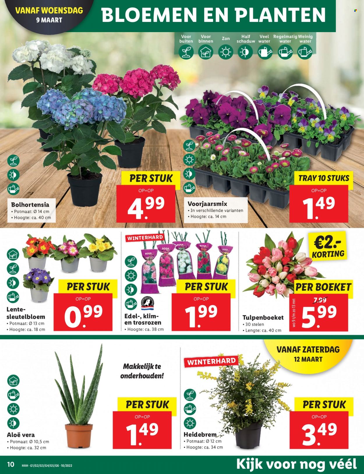 Lidl-aanbieding - 7-3-2022 - 13-3-2022. Pagina 10