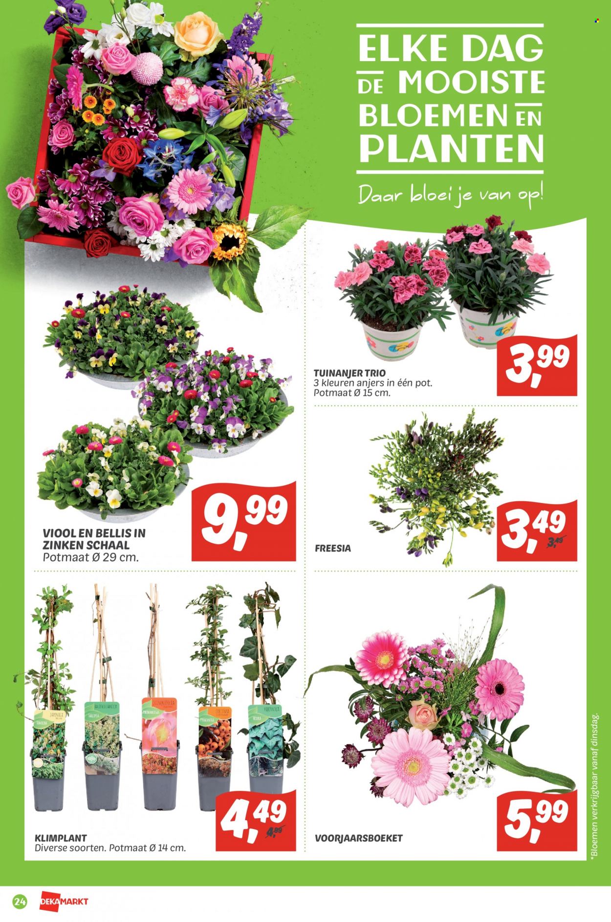 DekaMarkt-aanbieding - 6-3-2022 - 12-3-2022. Pagina 24