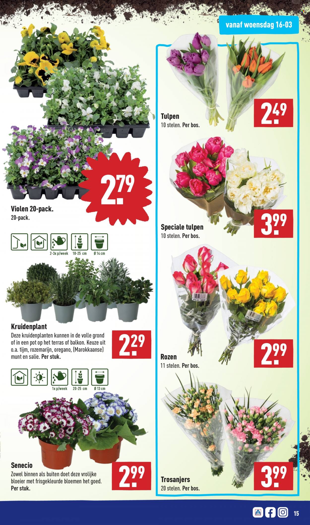 Aldi-aanbieding - 14-3-2022 - 20-3-2022. Pagina 15