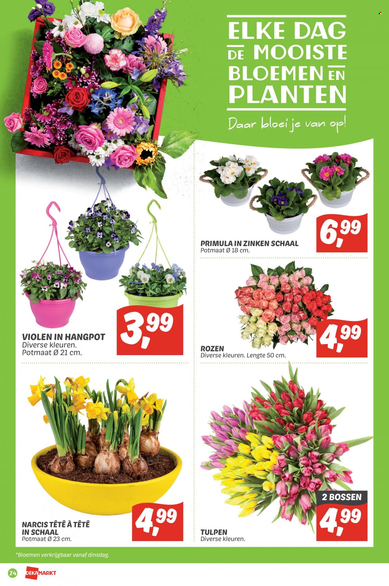 DekaMarkt-aanbieding - 13-3-2022 - 19-3-2022. Pagina 24