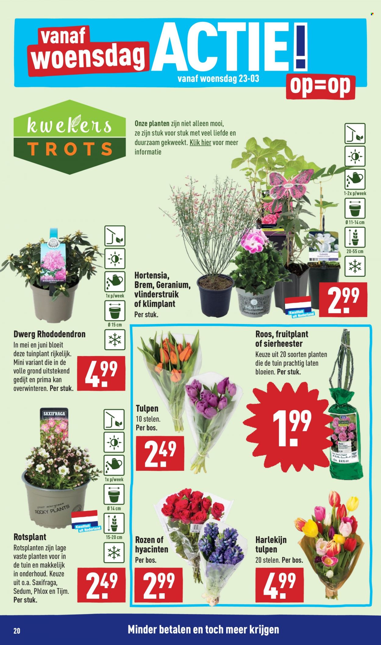 Aldi-aanbieding - 21-3-2022 - 27-3-2022. Pagina 20