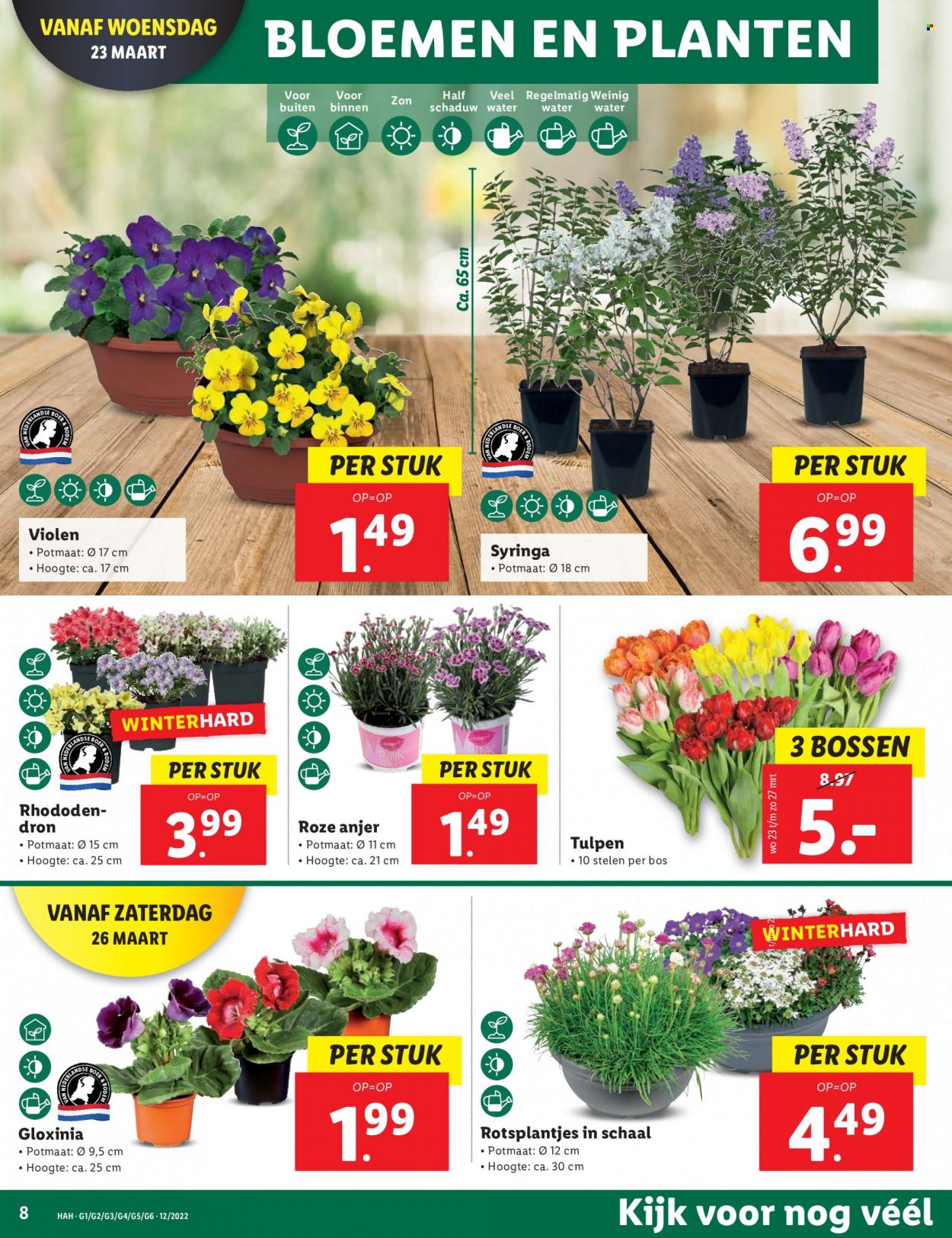 Lidl-aanbieding - 21-3-2022 - 27-3-2022. Pagina 8