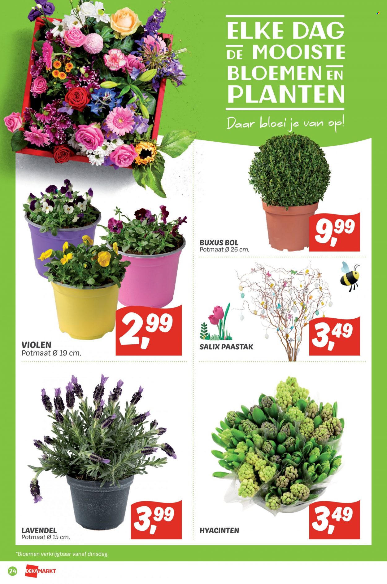 DekaMarkt-aanbieding - 20-3-2022 - 26-3-2022. Pagina 24