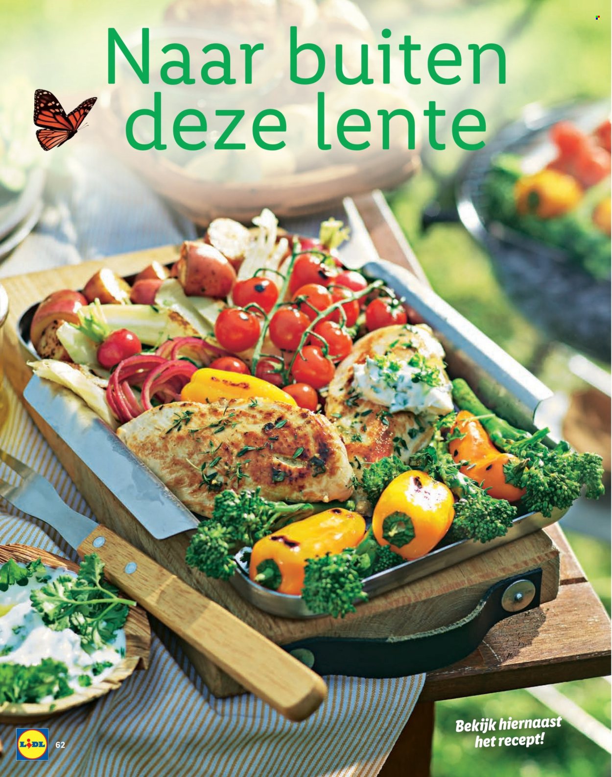 Lidl-aanbieding. Pagina 62