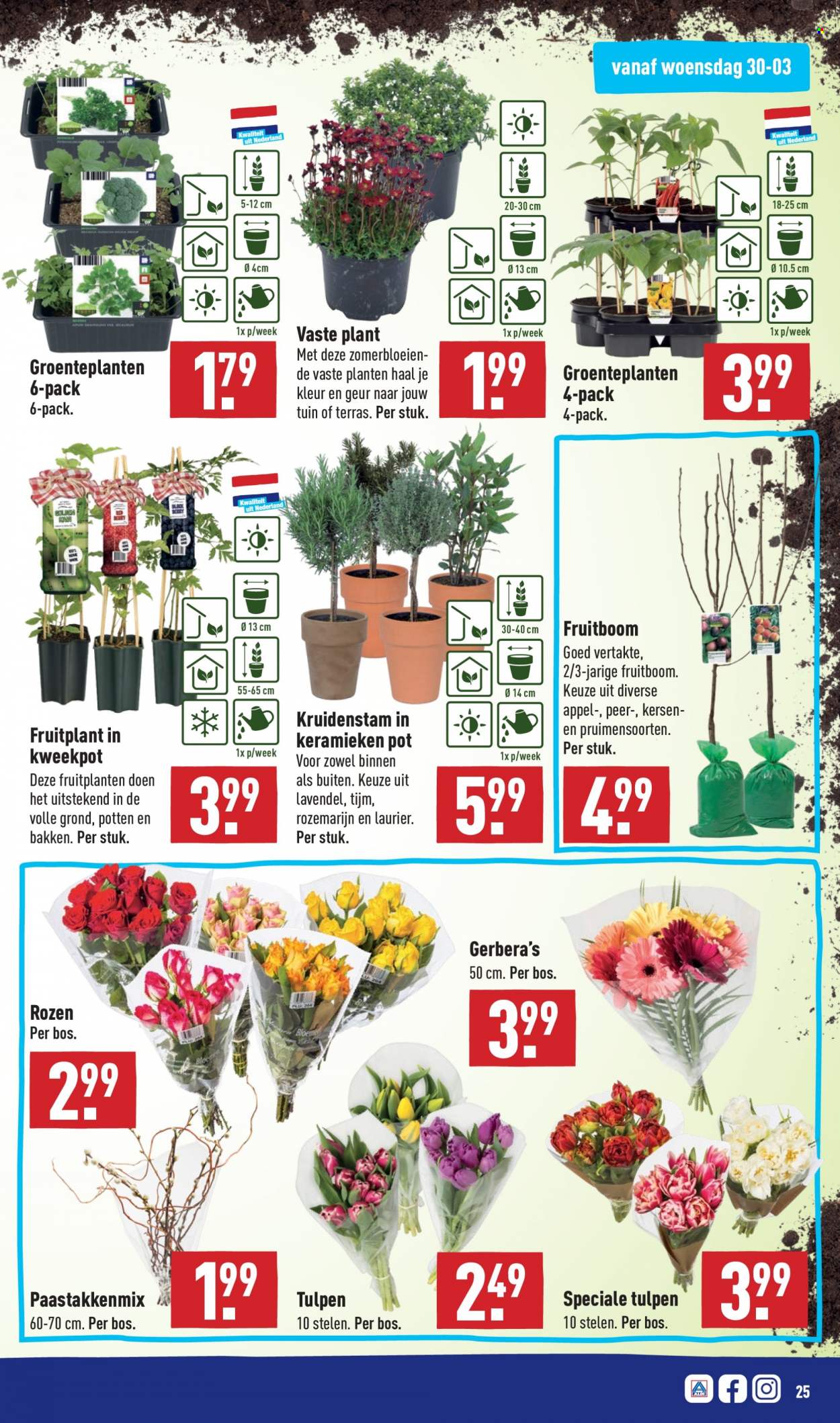 Aldi-aanbieding - 28-3-2022 - 3-4-2022. Pagina 25