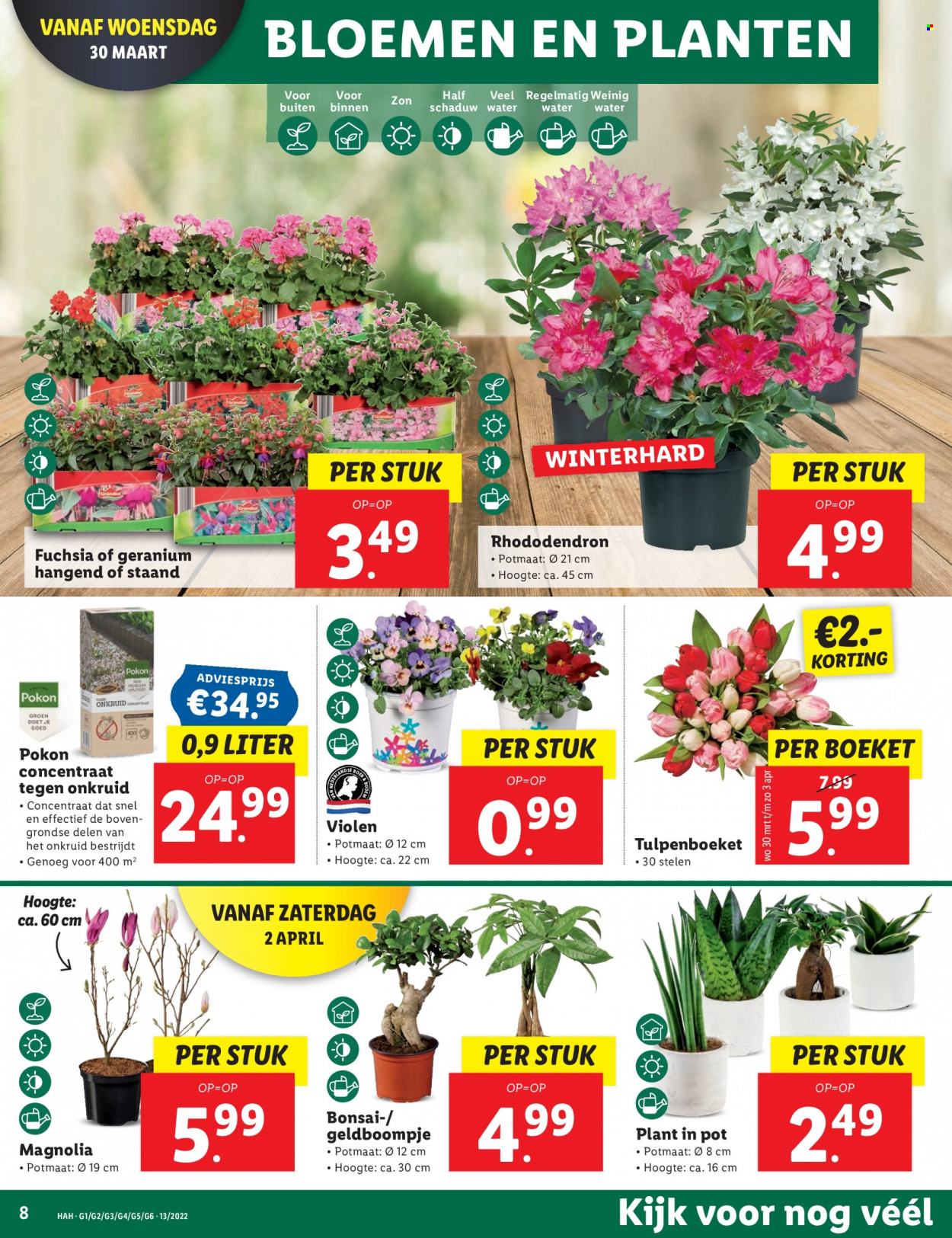 Lidl-aanbieding - 28-3-2022 - 3-4-2022. Pagina 8
