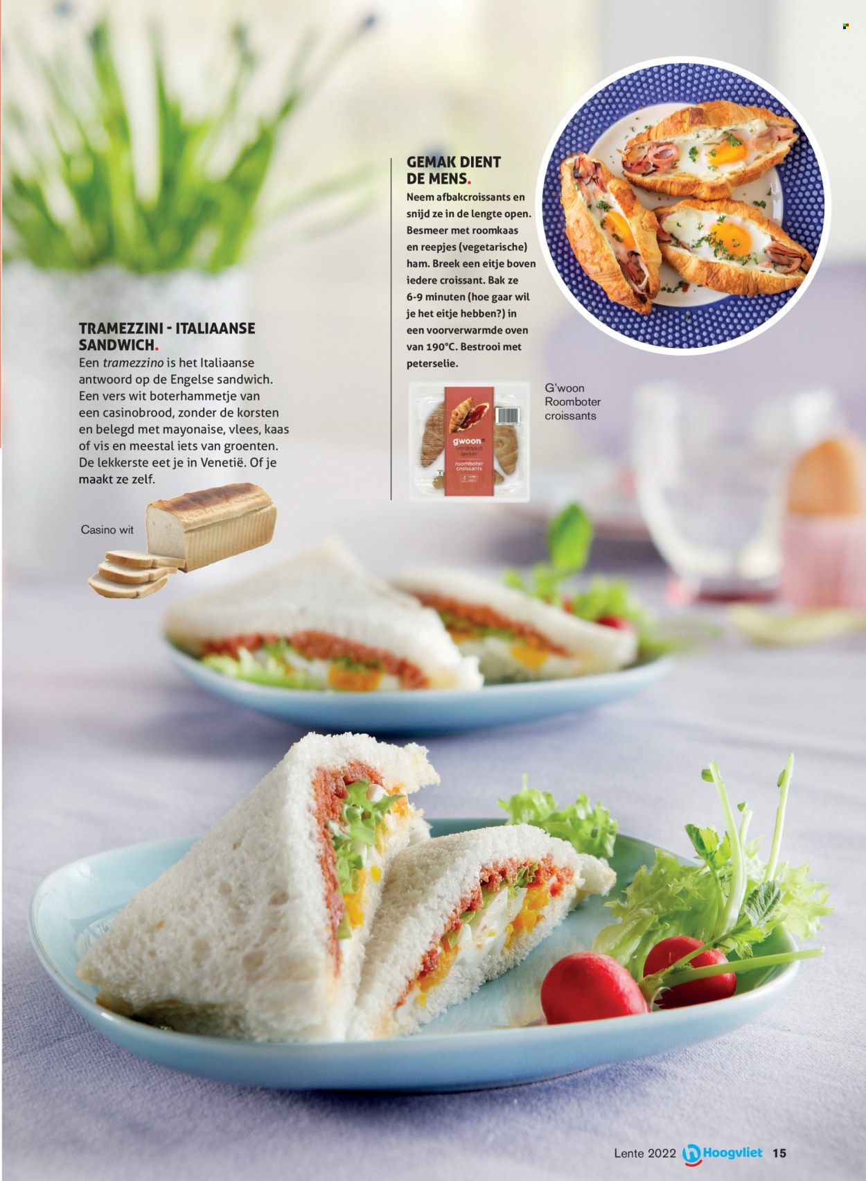 Hoogvliet-aanbieding - 24-3-2022 - 14-4-2022. Pagina 15