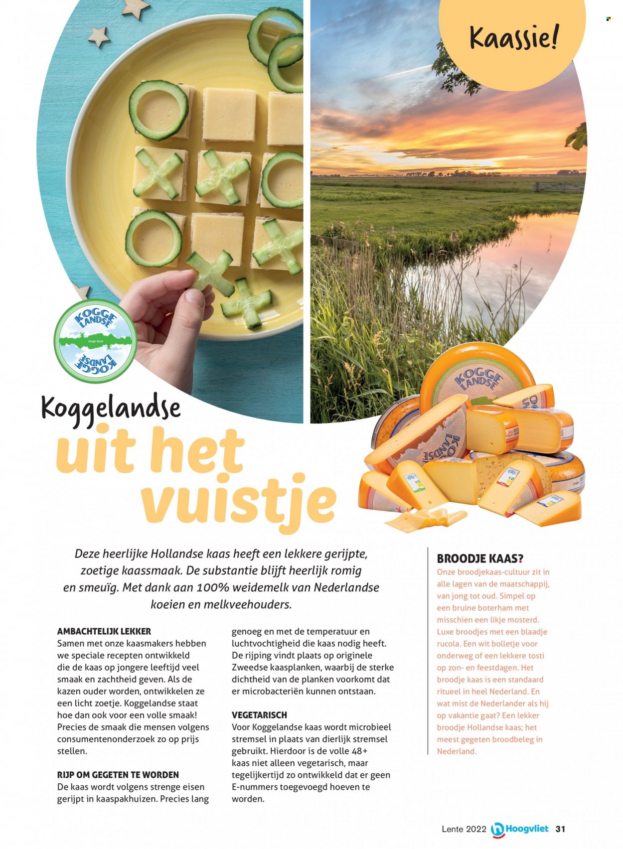 Hoogvliet-aanbieding - 24-3-2022 - 14-4-2022. Pagina 31
