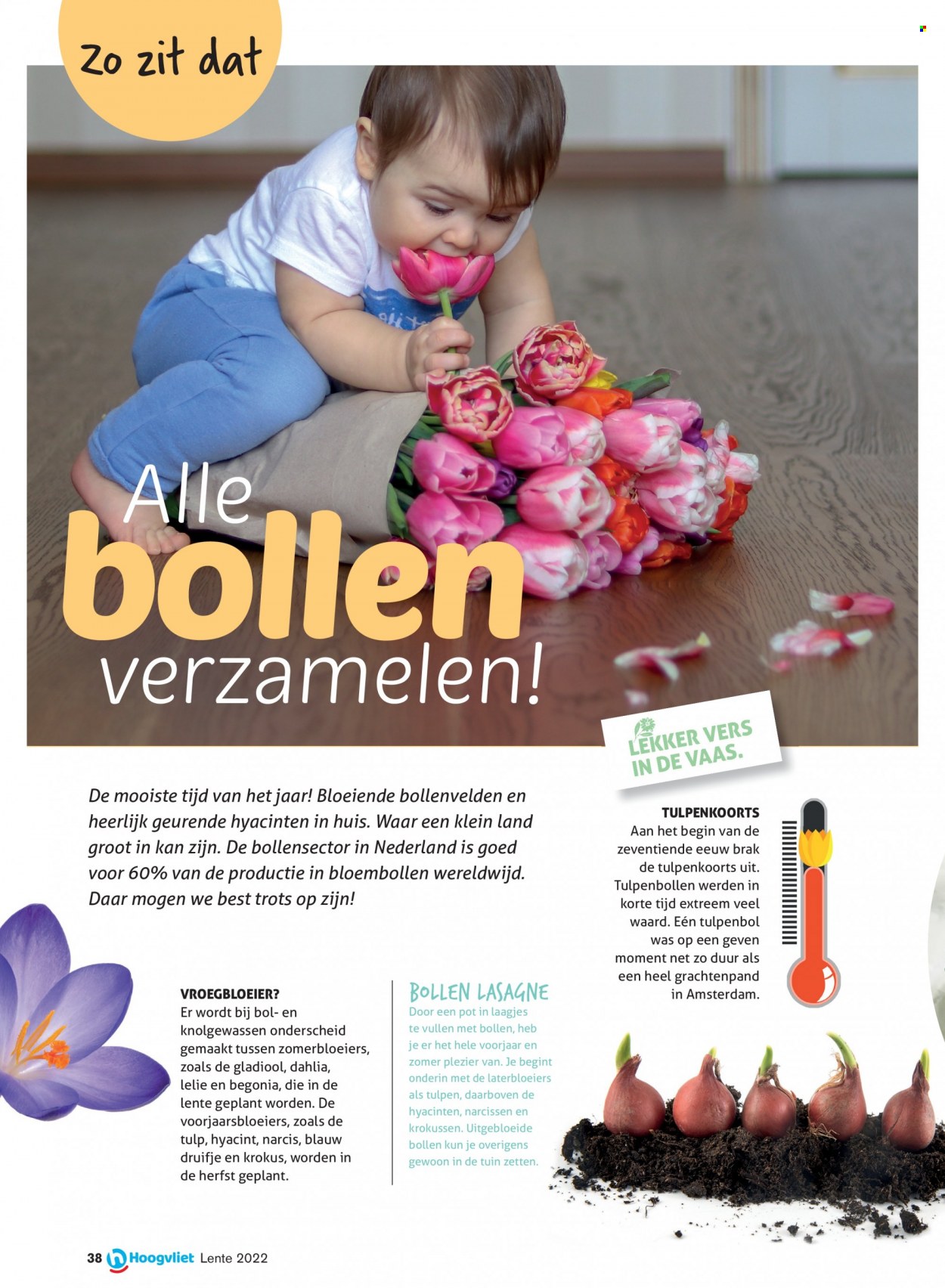 Hoogvliet-aanbieding - 24-3-2022 - 14-4-2022. Pagina 38