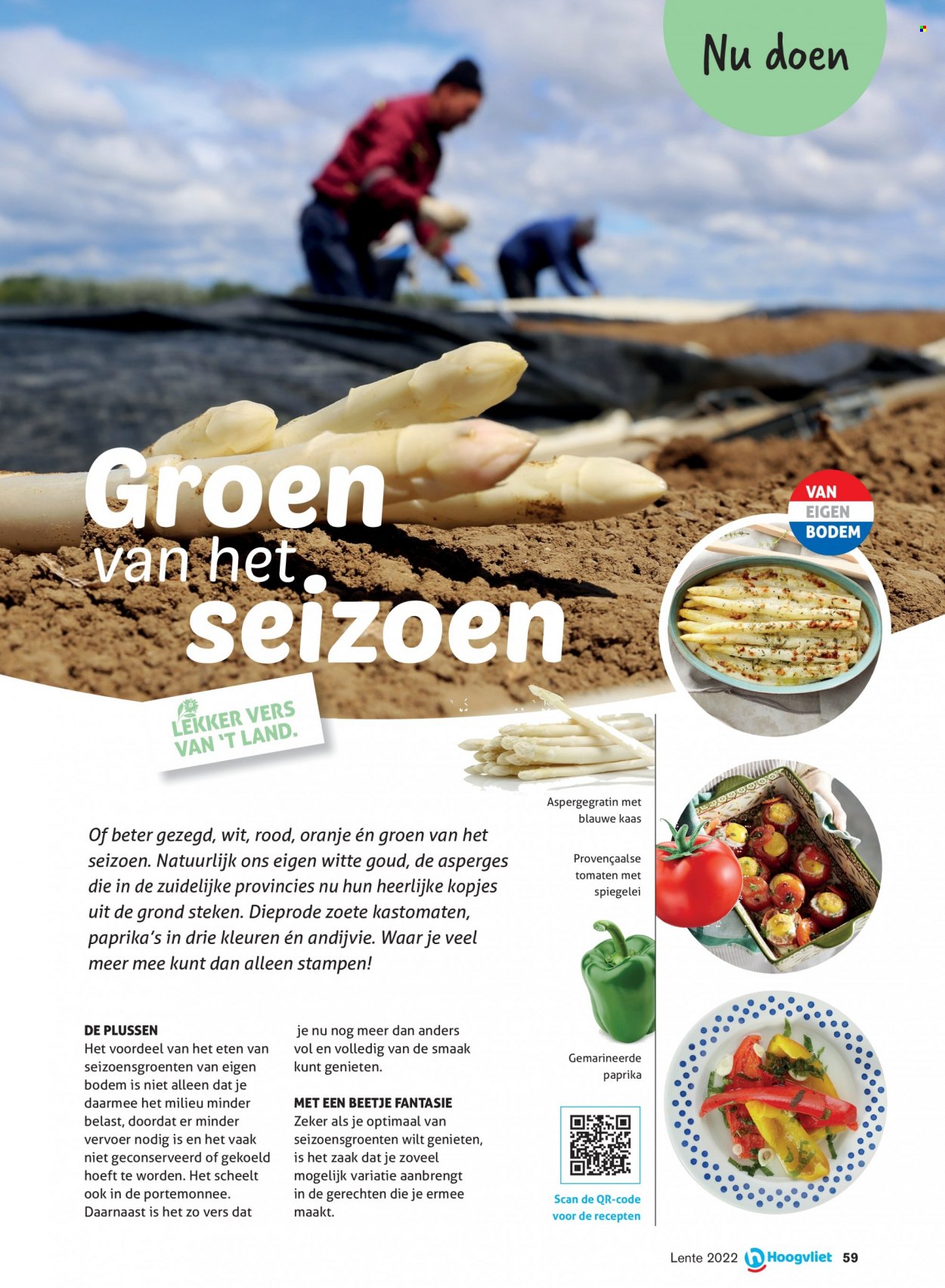 Hoogvliet-aanbieding - 24-3-2022 - 14-4-2022. Pagina 59