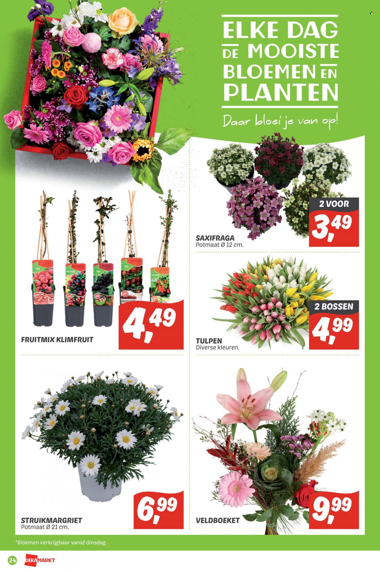 DekaMarkt-aanbieding - 27-3-2022 - 2-4-2022. Pagina 24