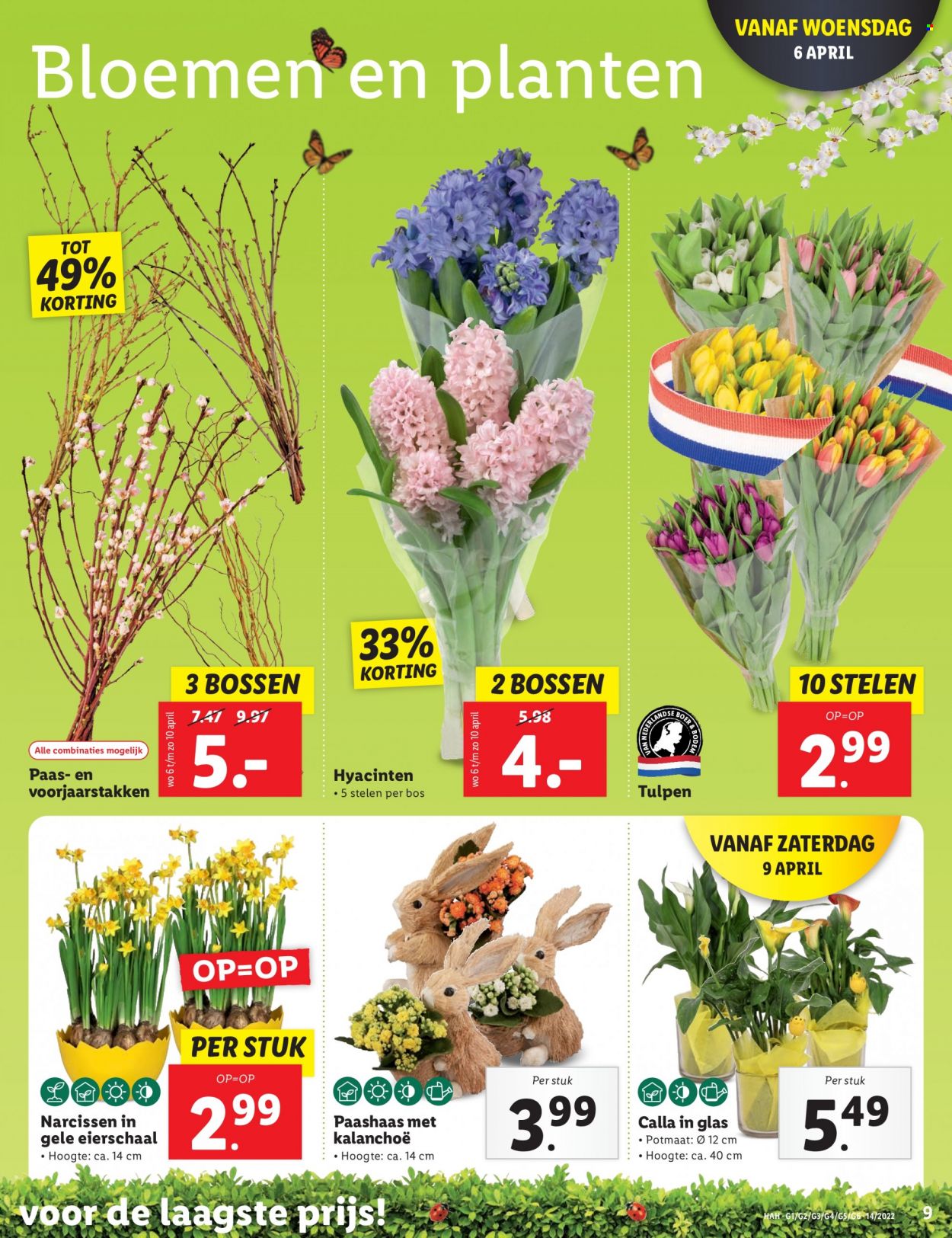 Lidl-aanbieding - 4-4-2022 - 10-4-2022. Pagina 9