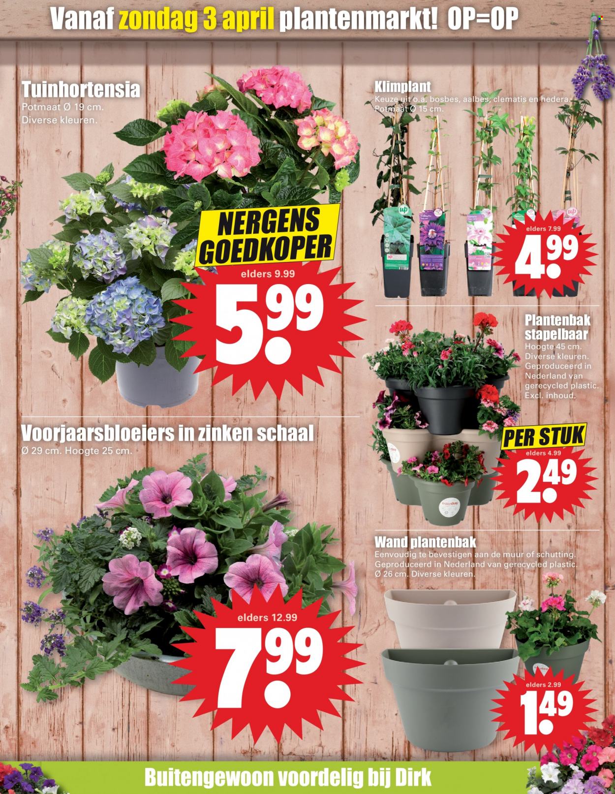 Dirk-aanbieding - 6-4-2022 - 12-4-2022. Pagina 39