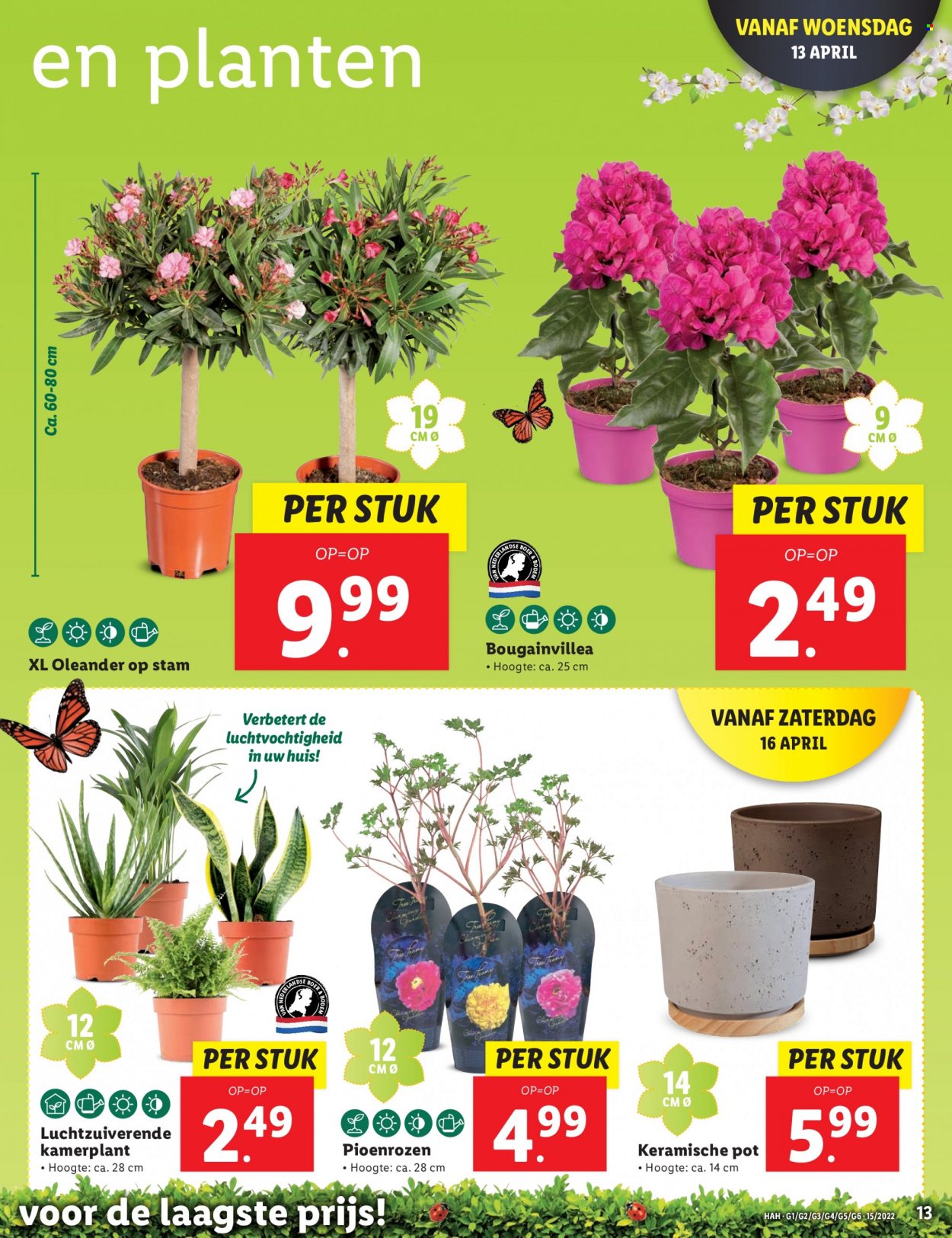 Lidl-aanbieding - 11-4-2022 - 18-4-2022. Pagina 13