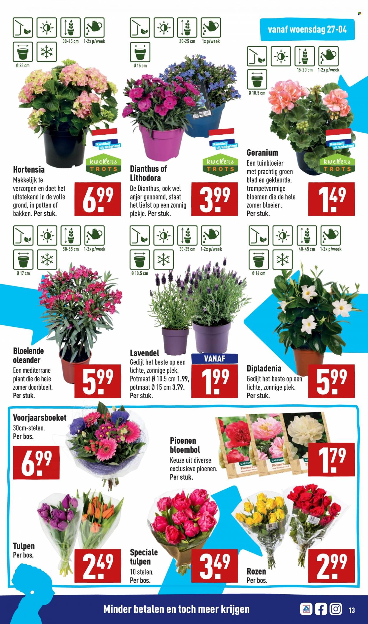 Aldi-aanbieding - 25-4-2022 - 1-5-2022. Pagina 13