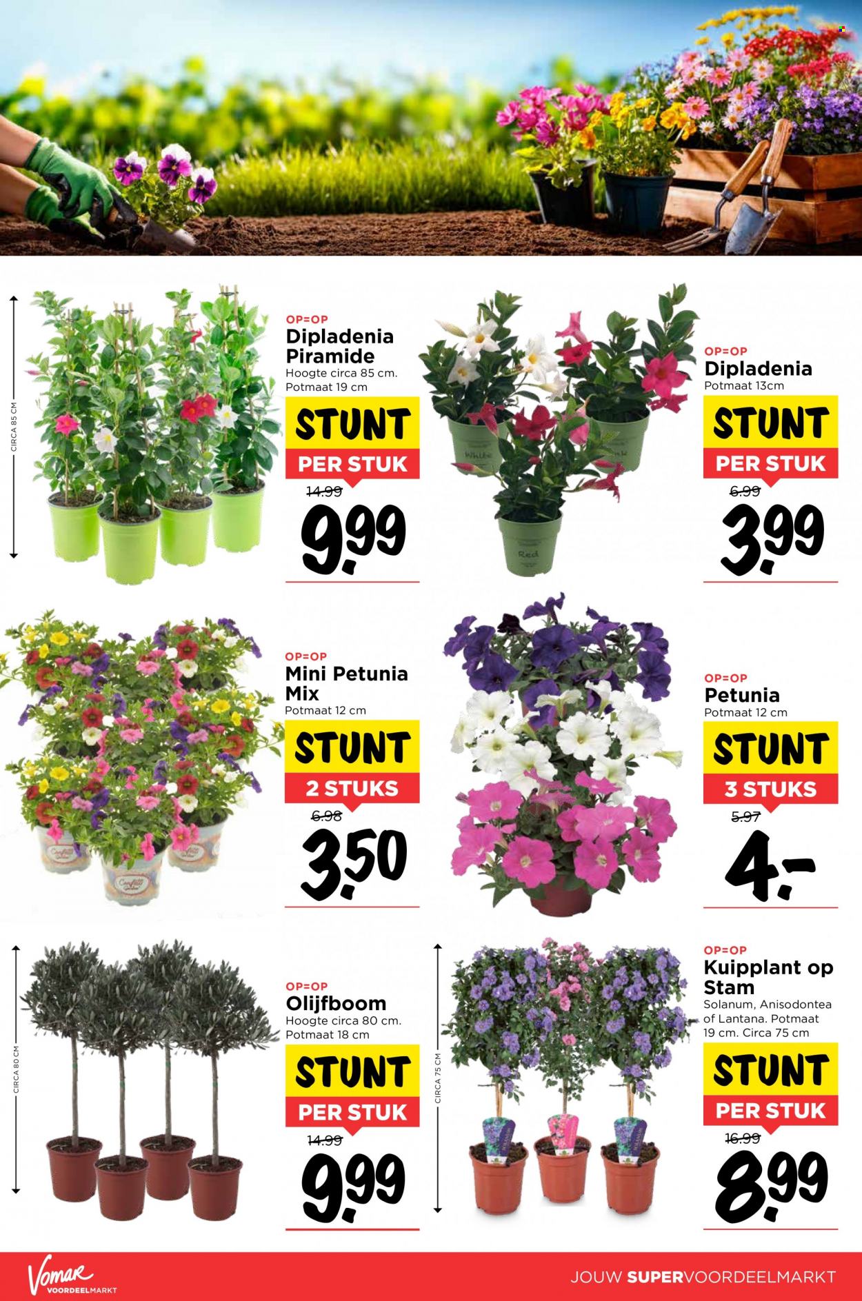 Vomar-aanbieding - 21-4-2022 - 23-4-2022. Pagina 12