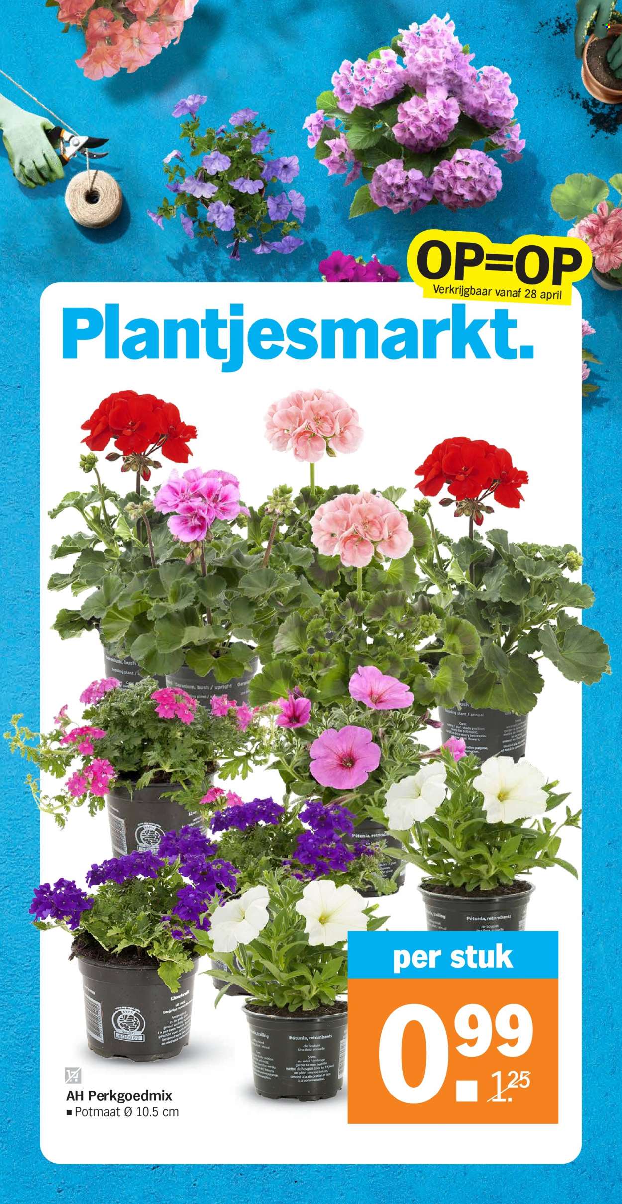 Albert Heijn-aanbieding - 25-4-2022 - 1-5-2022. Pagina 36
