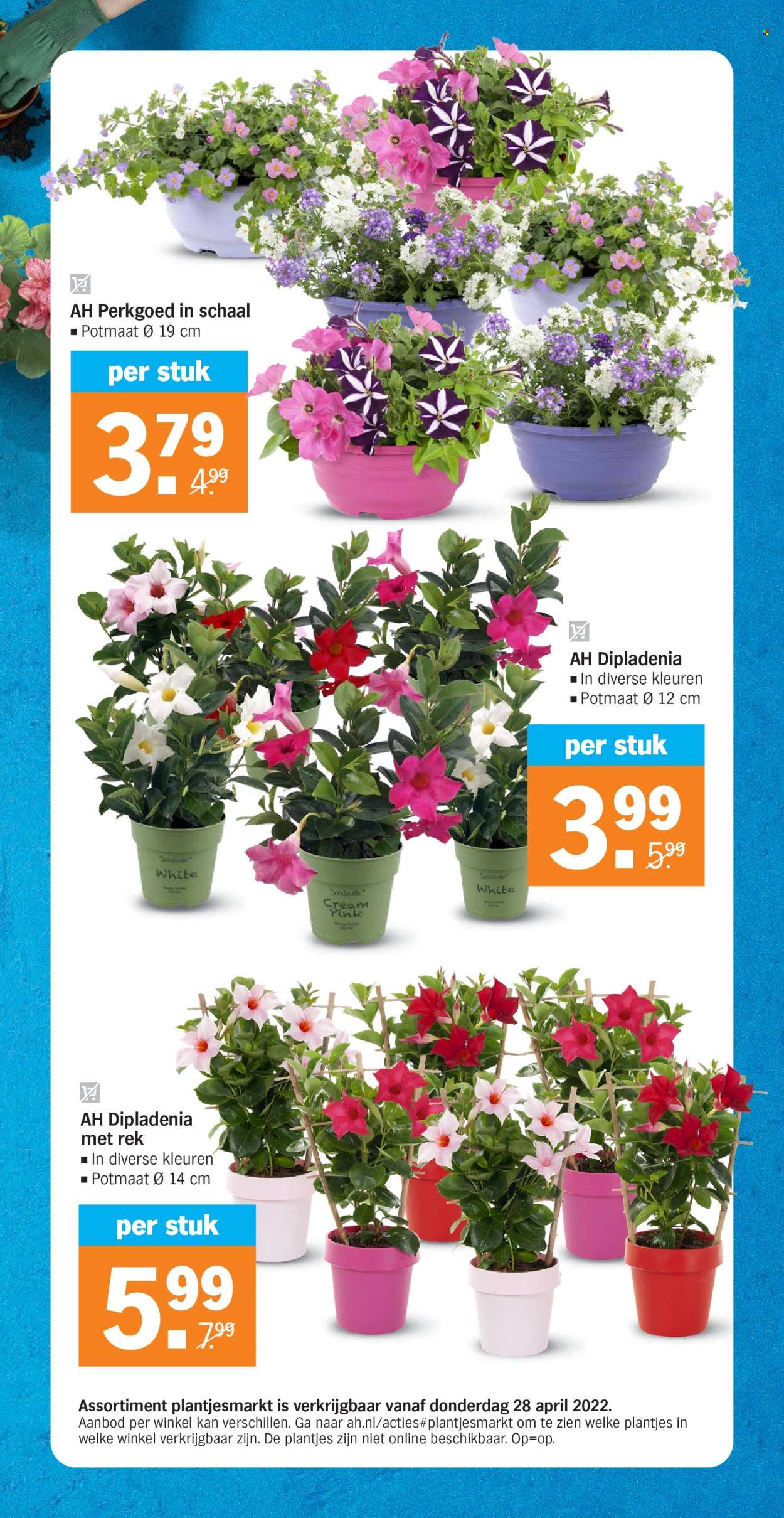 Albert Heijn-aanbieding - 25-4-2022 - 1-5-2022. Pagina 37