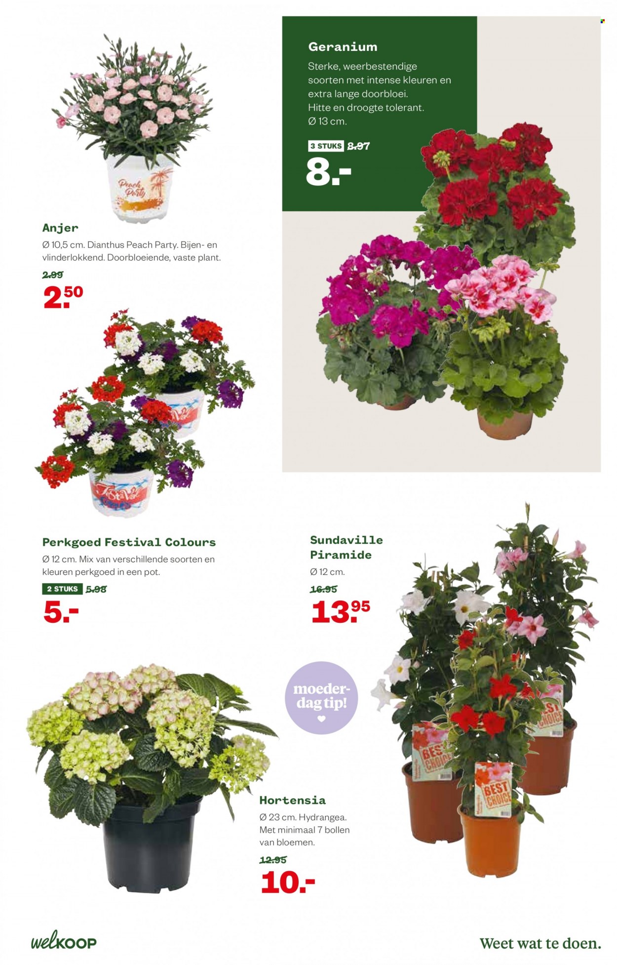 Welkoop-aanbieding - 25-4-2022 - 8-5-2022. Pagina 3