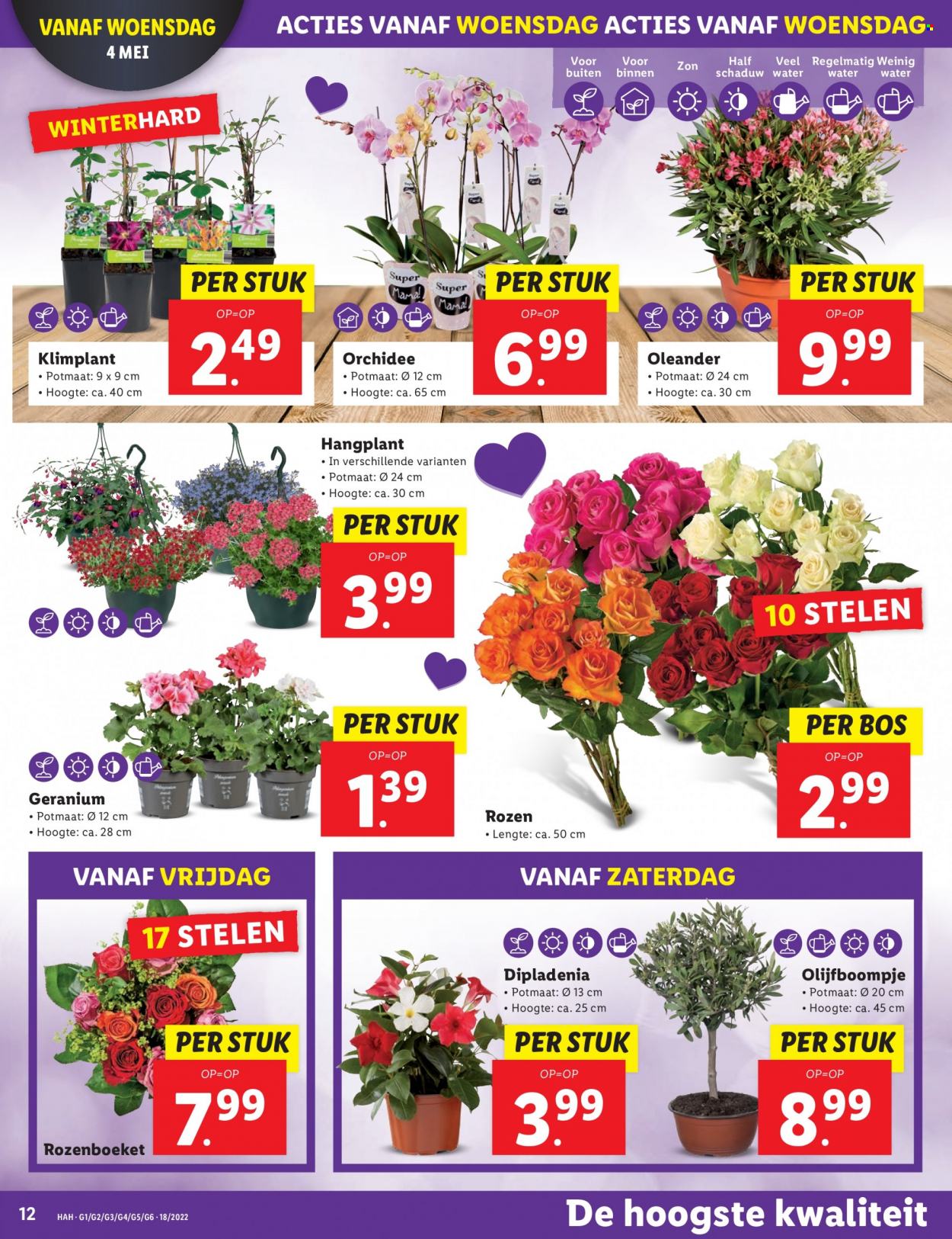 Lidl-aanbieding - 2-5-2022 - 8-5-2022. Pagina 12