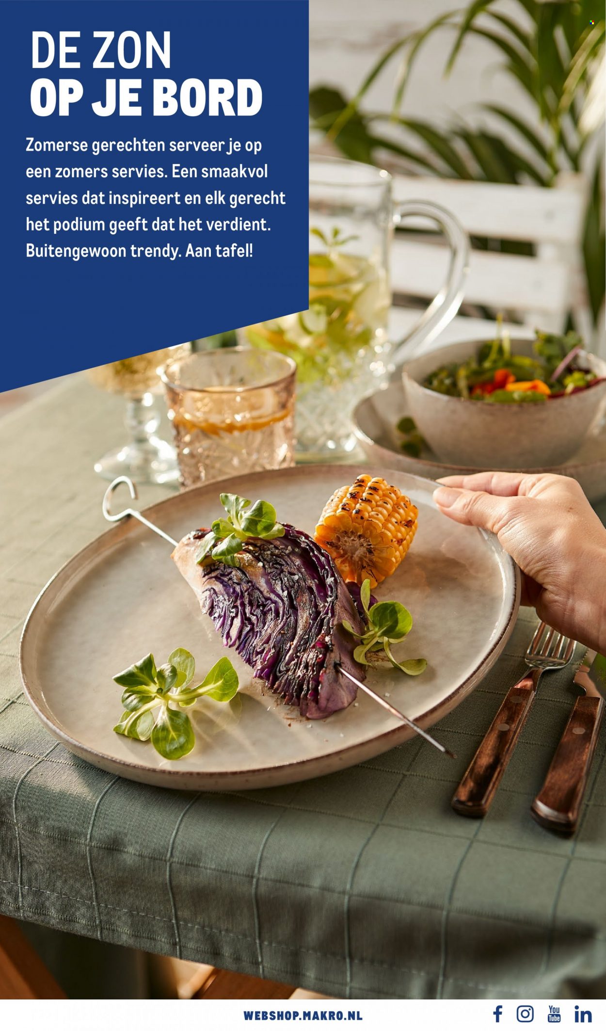 Makro-aanbieding - 11-5-2022 - 7-6-2022. Pagina 13