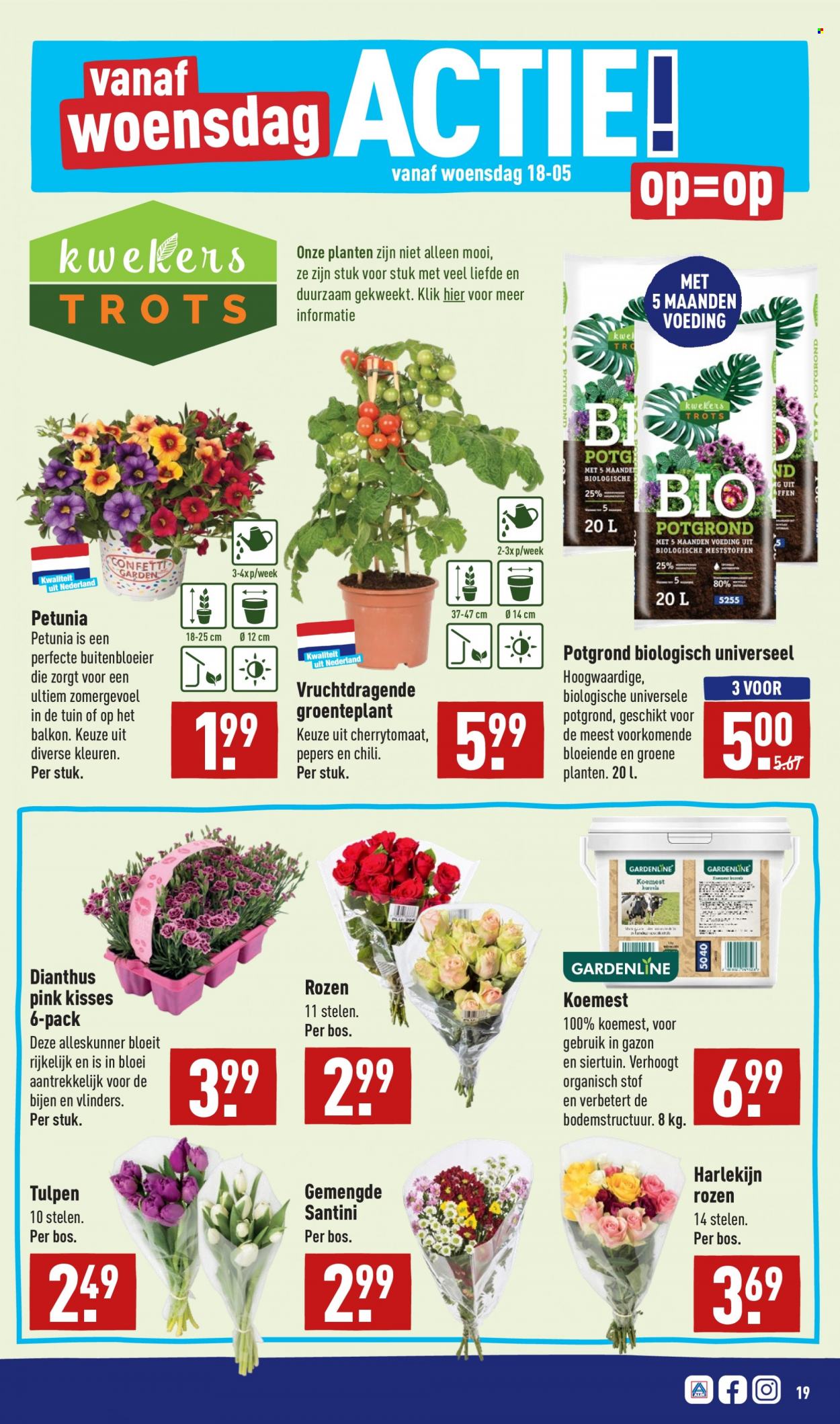 Aldi-aanbieding - 16-5-2022 - 22-5-2022. Pagina 19