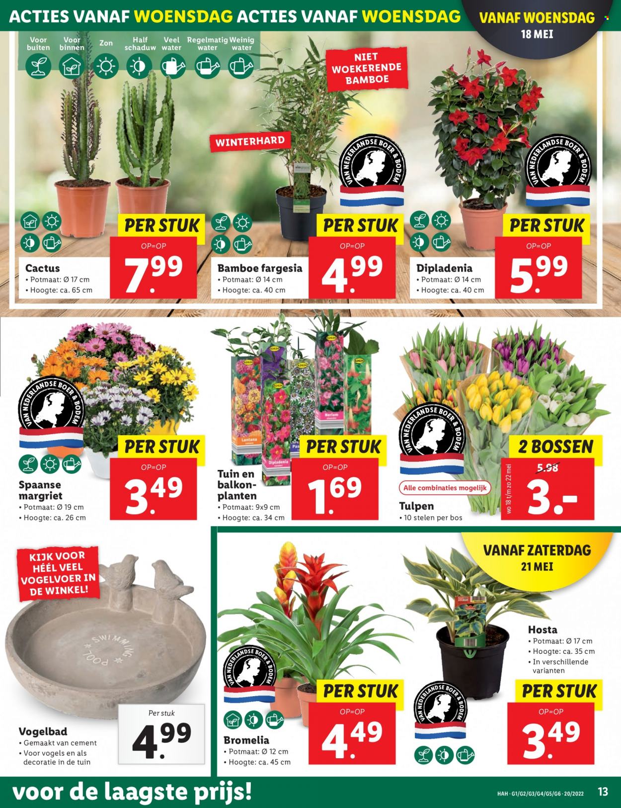 Lidl-aanbieding - 16-5-2022 - 22-5-2022. Pagina 13