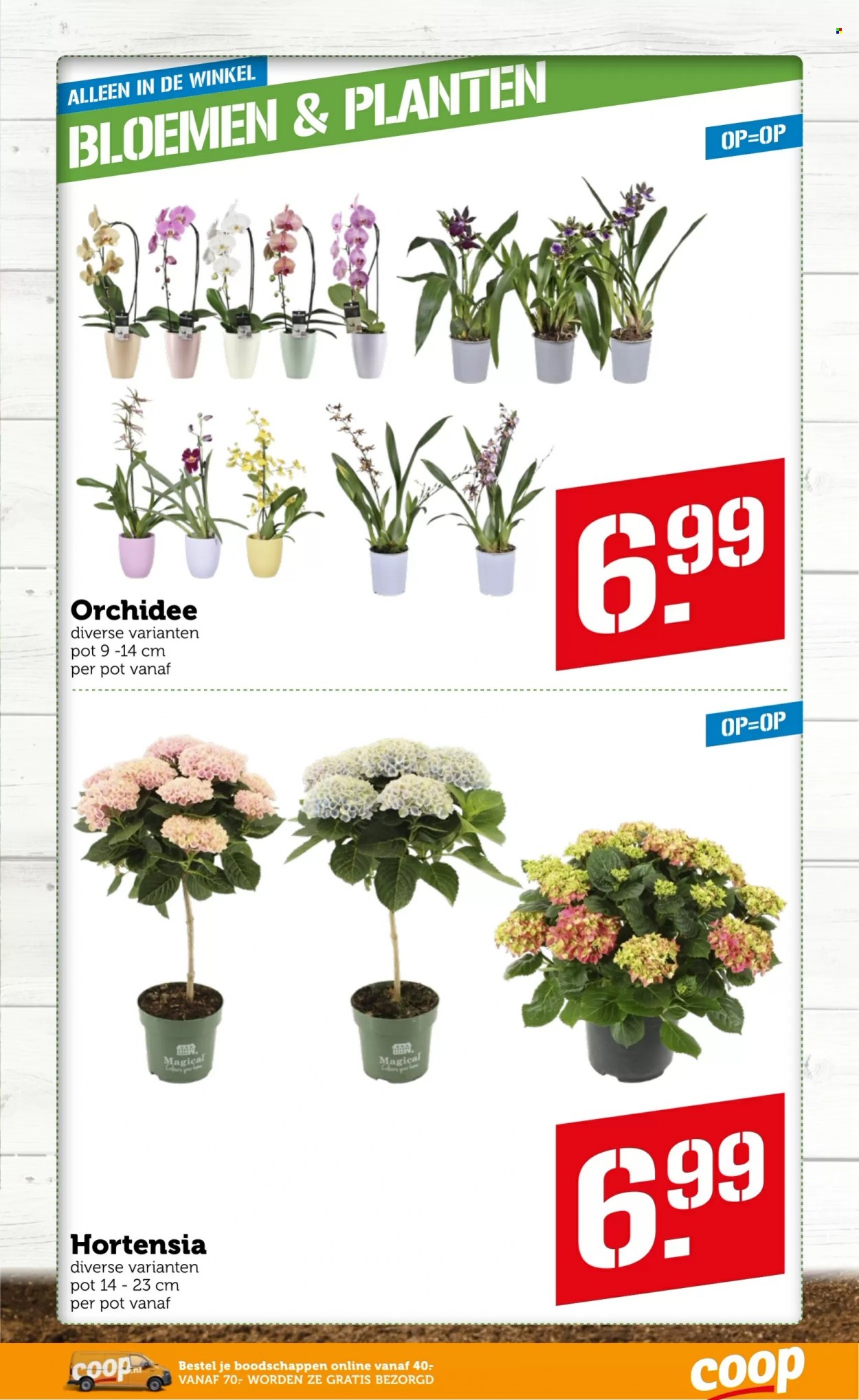 Coop-aanbieding - 16-5-2022 - 22-5-2022. Pagina 27