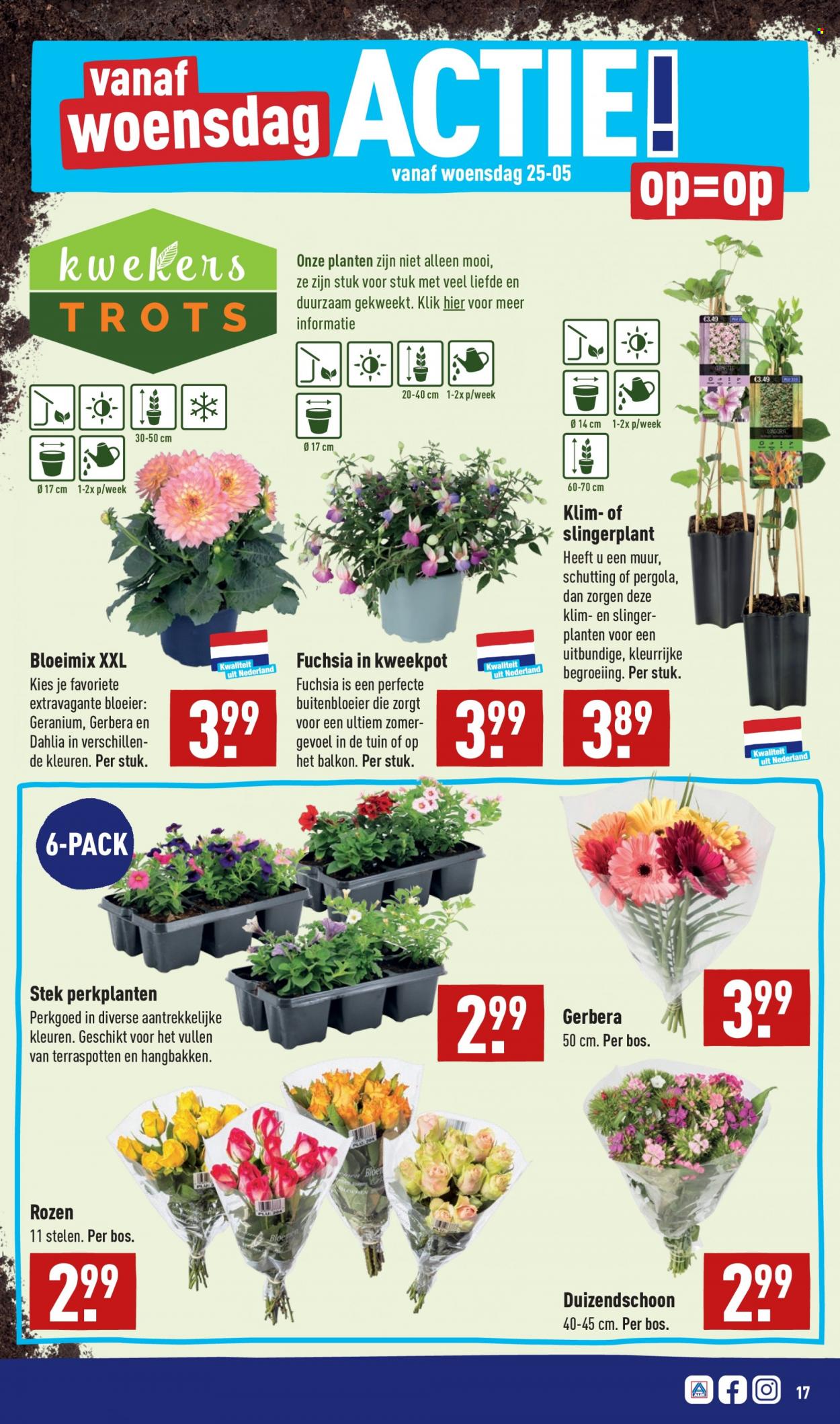 Aldi-aanbieding - 23-5-2022 - 29-5-2022. Pagina 17