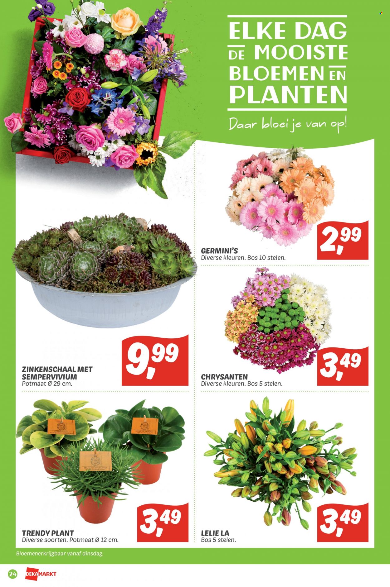 DekaMarkt-aanbieding - 22-5-2022 - 28-5-2022. Pagina 24