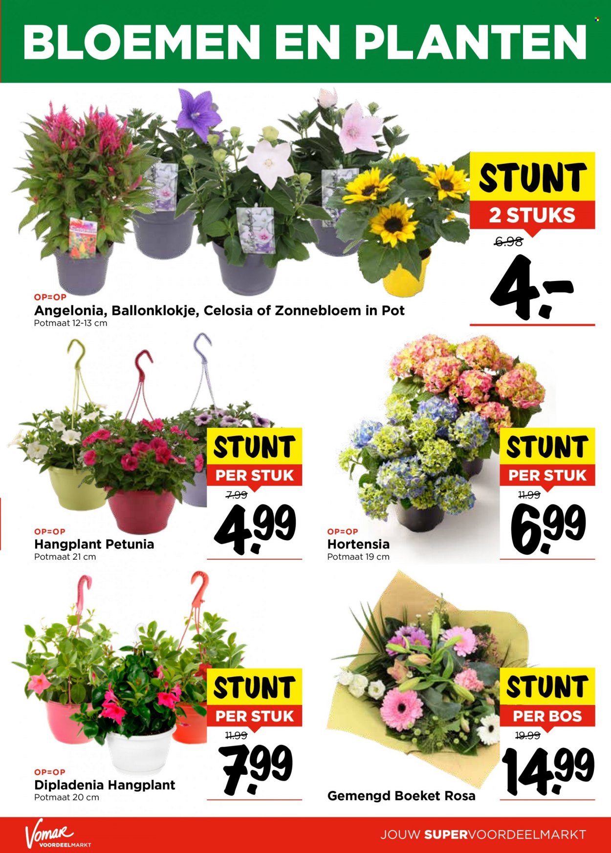 Vomar-aanbieding - 22-5-2022 - 28-5-2022. Pagina 33