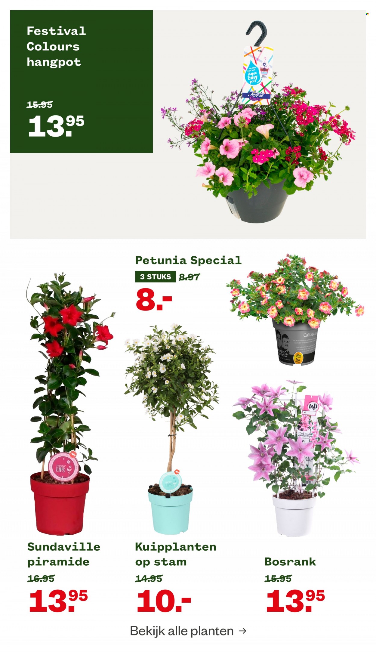 Welkoop-aanbieding - 23-5-2022 - 6-6-2022. Pagina 2