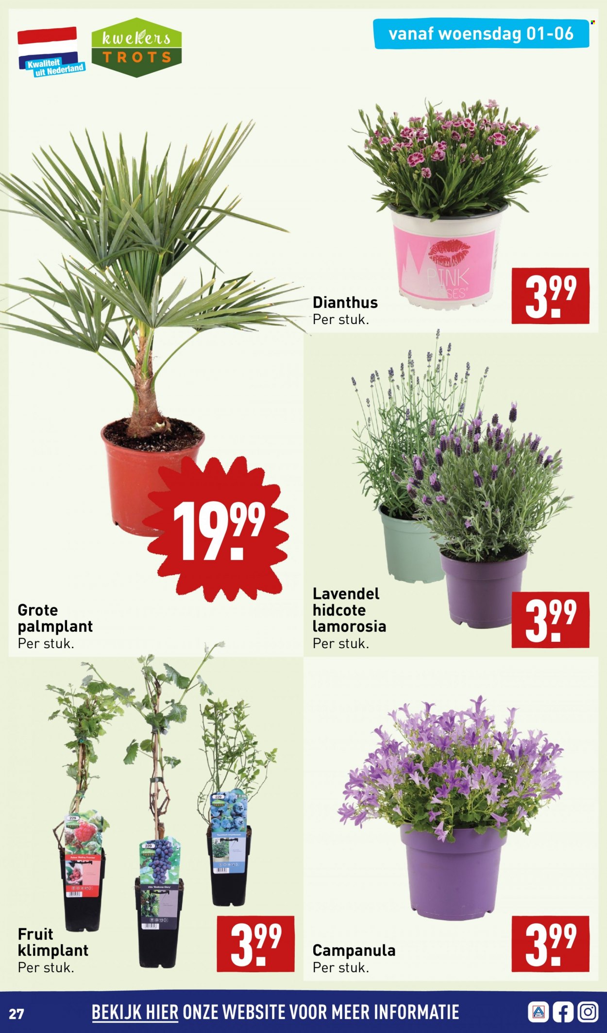 Aldi-aanbieding - 30-5-2022 - 6-6-2022. Pagina 27