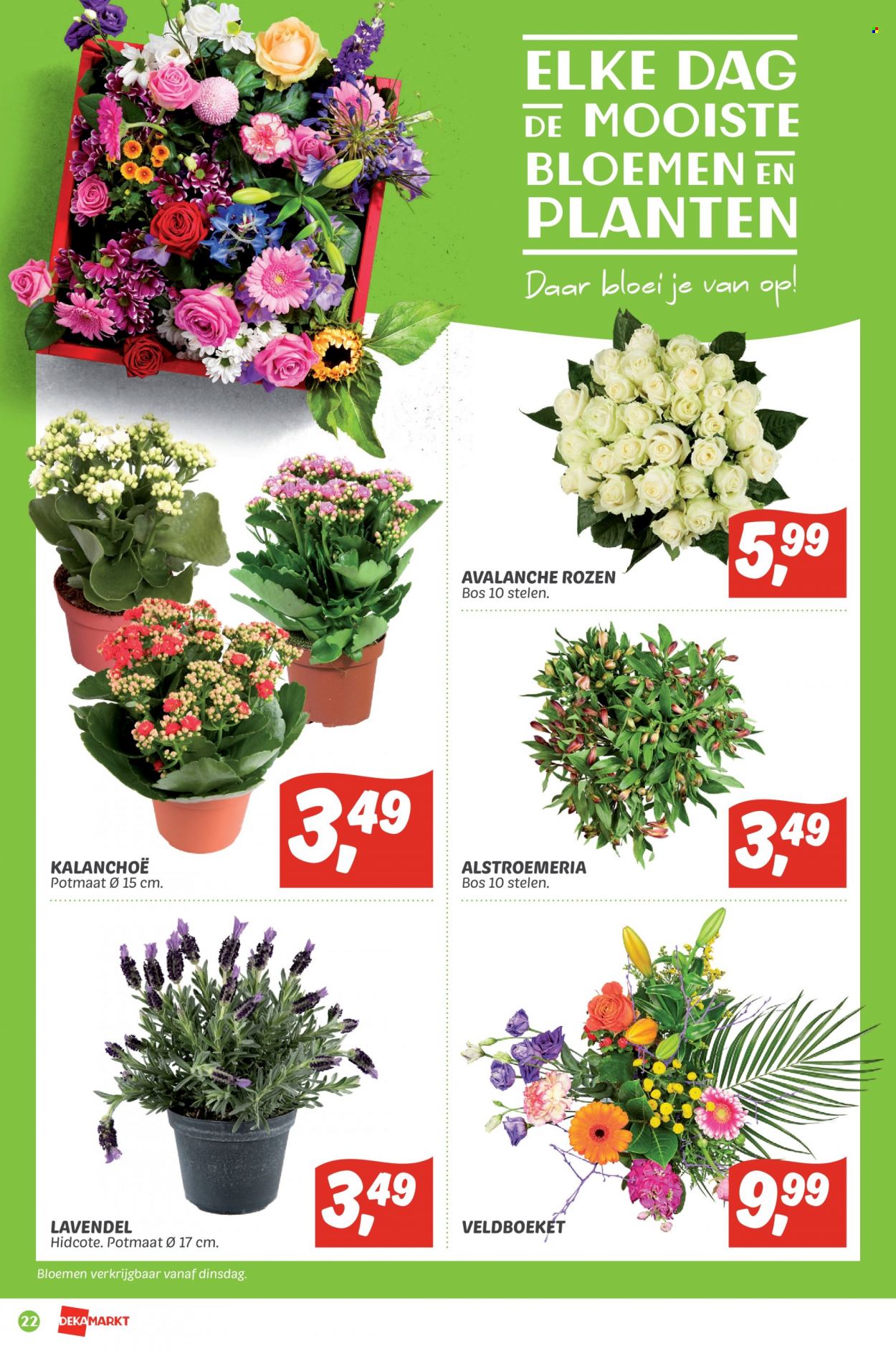 DekaMarkt-aanbieding - 29-5-2022 - 3-6-2022. Pagina 22