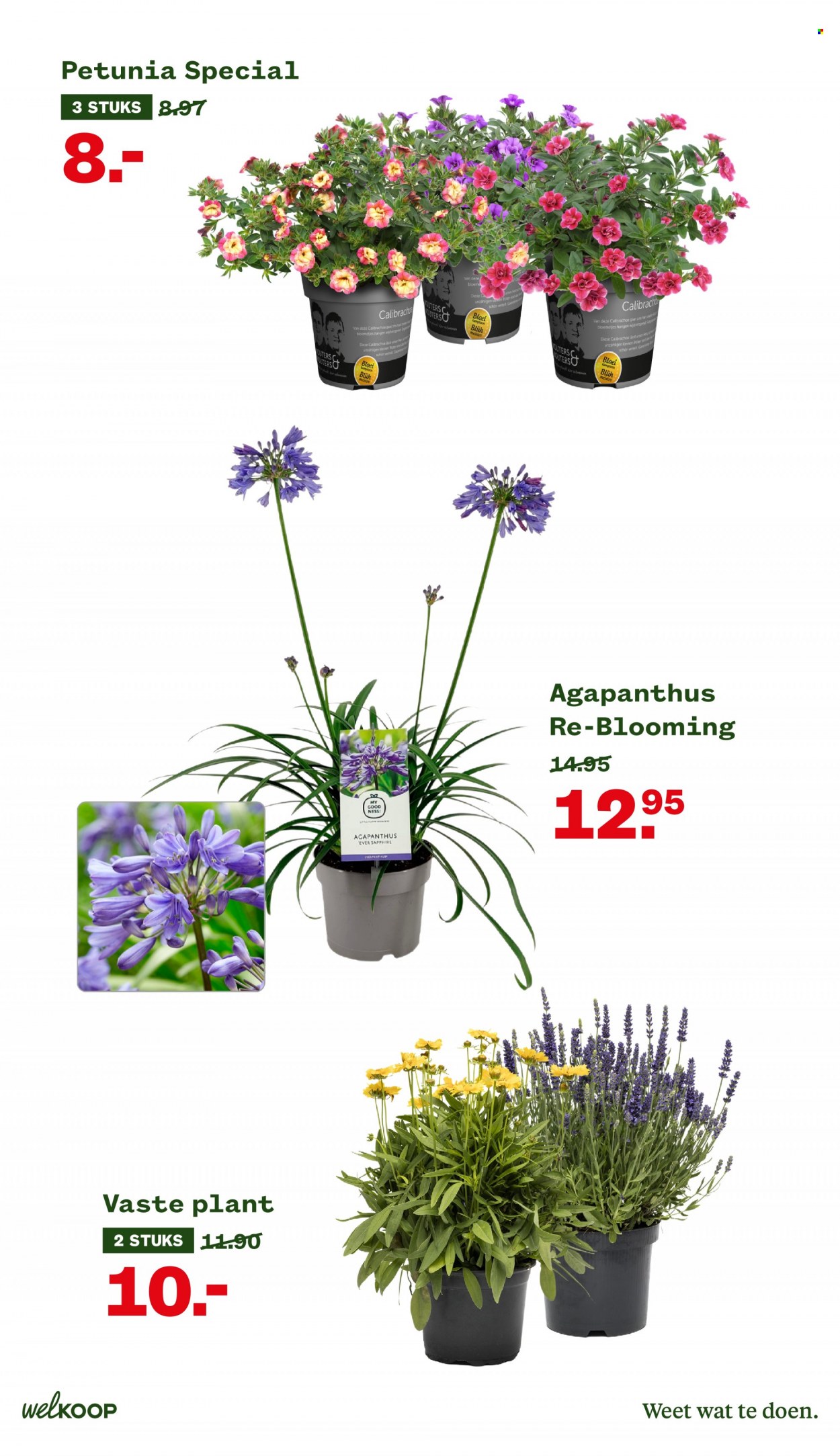 Welkoop-aanbieding - 7-6-2022 - 19-6-2022. Pagina 9