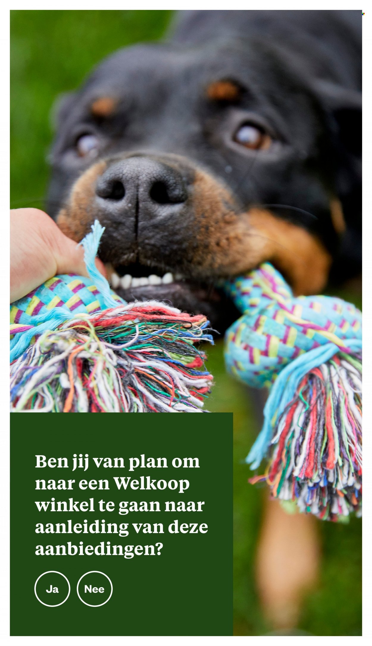 Welkoop-aanbieding - 7-6-2022 - 19-6-2022. Pagina 25